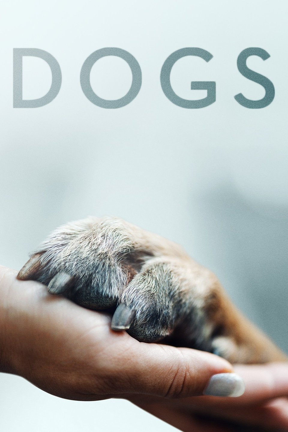 Dogs - Rotten Tomatoes