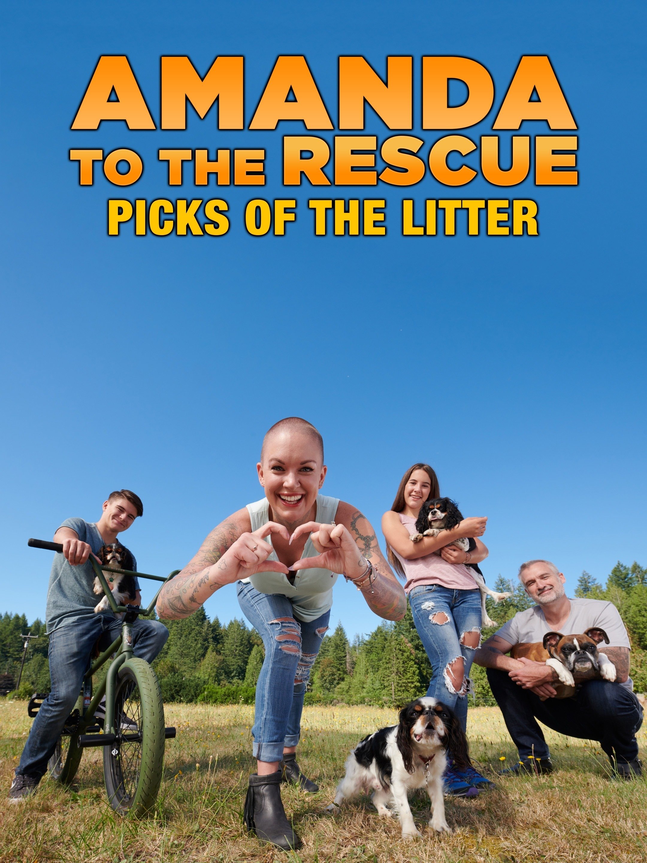 Amanda To The Rescue Picks Of The Litter Rotten Tomatoes