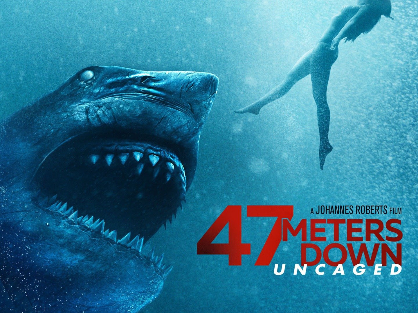 47 Meters Down: Uncaged: Trailer 1 - Trailers & Videos - Rotten Tomatoes