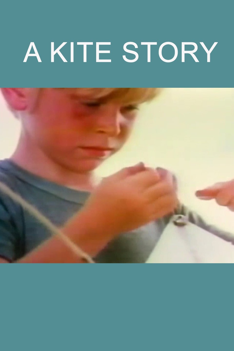 A Kite Story Pictures Rotten Tomatoes