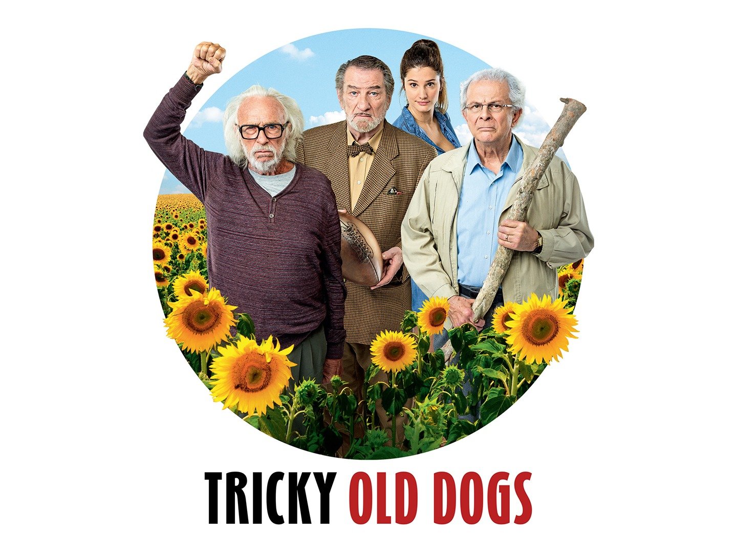 Tricky Old Dogs Pictures Rotten Tomatoes