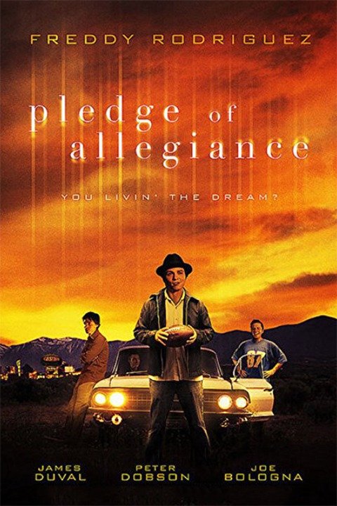 Pledge Of Allegiance Pictures Rotten Tomatoes
