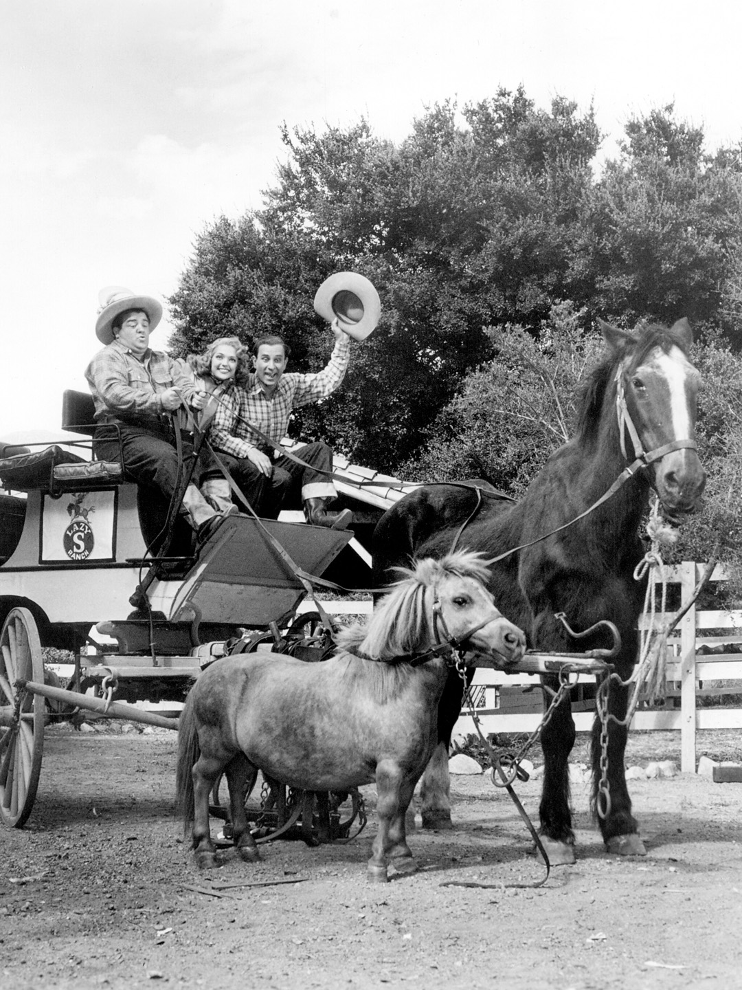  Trailers & Videos Rotten Tomatoes