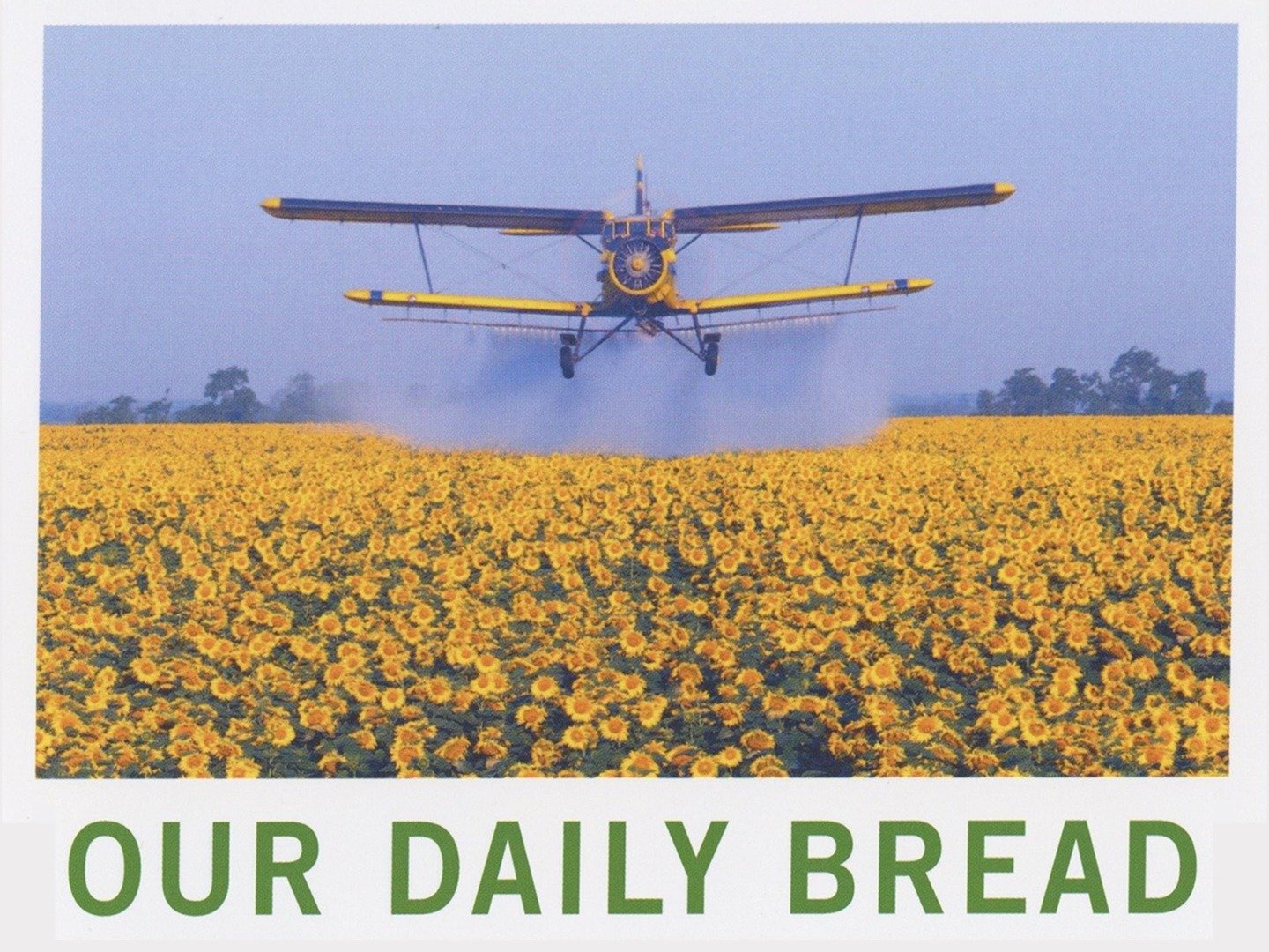 Our Daily Bread 2005 Rotten Tomatoes