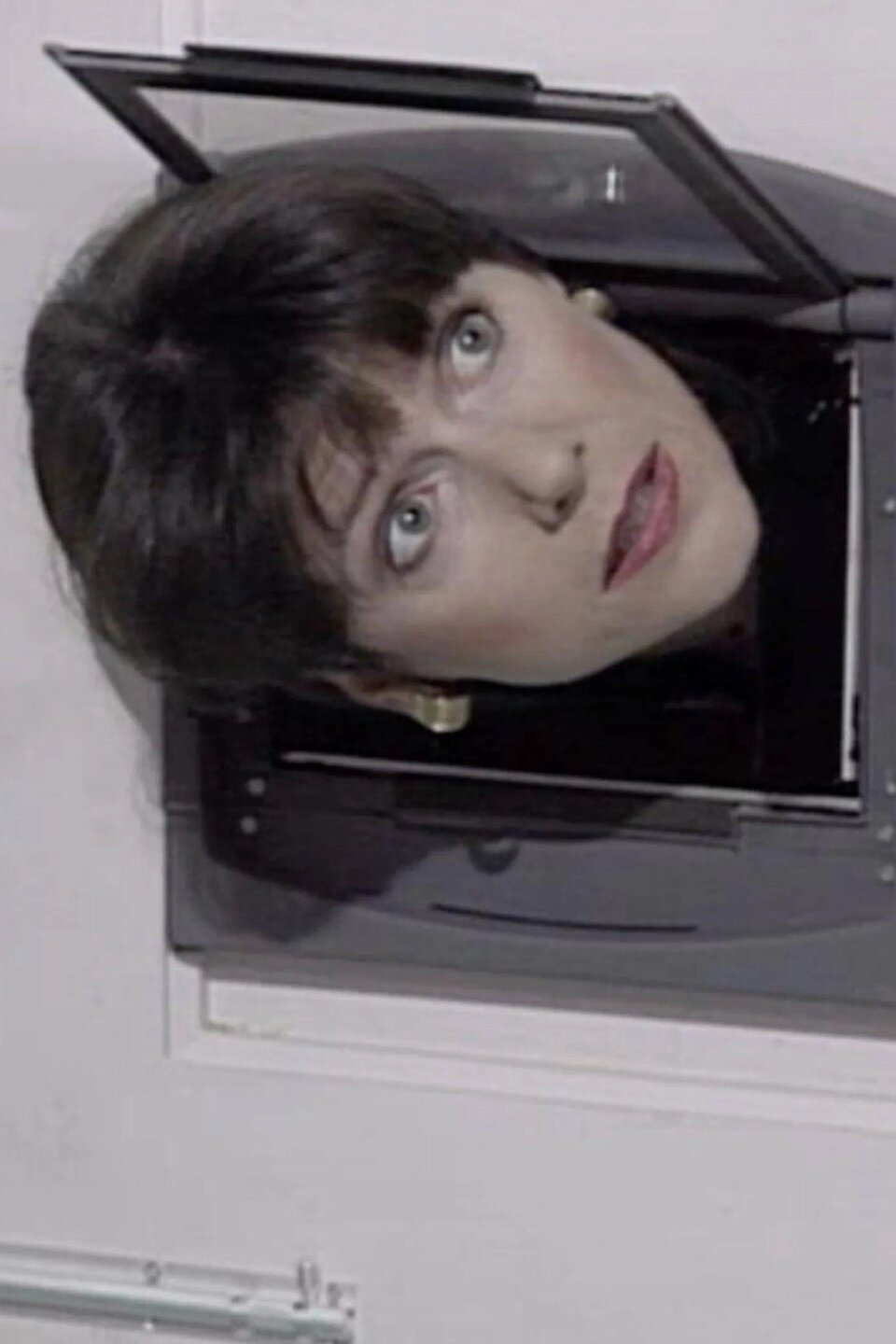 Bird on a Wire Pictures Rotten Tomatoes