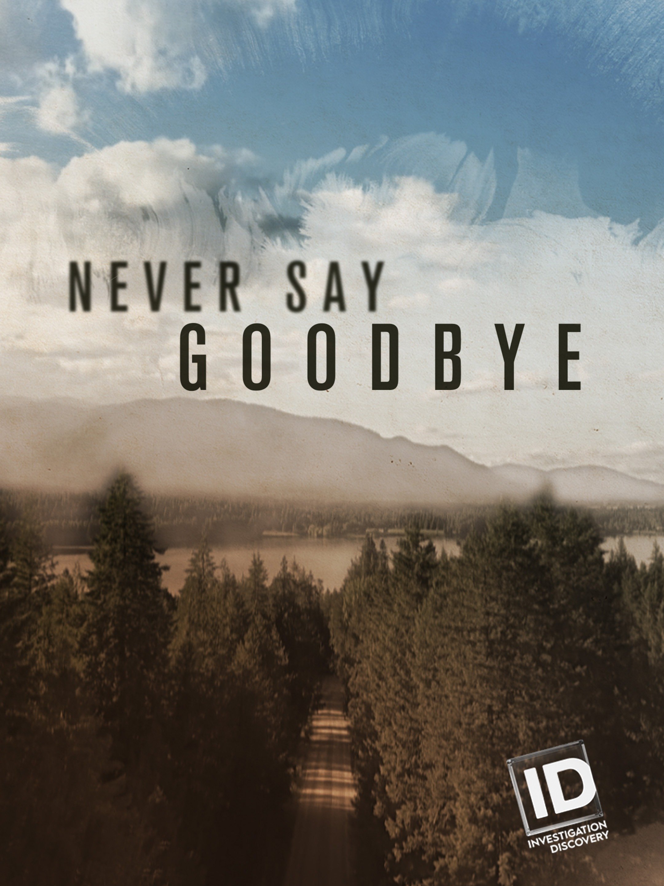 never say goodbye movie reviews