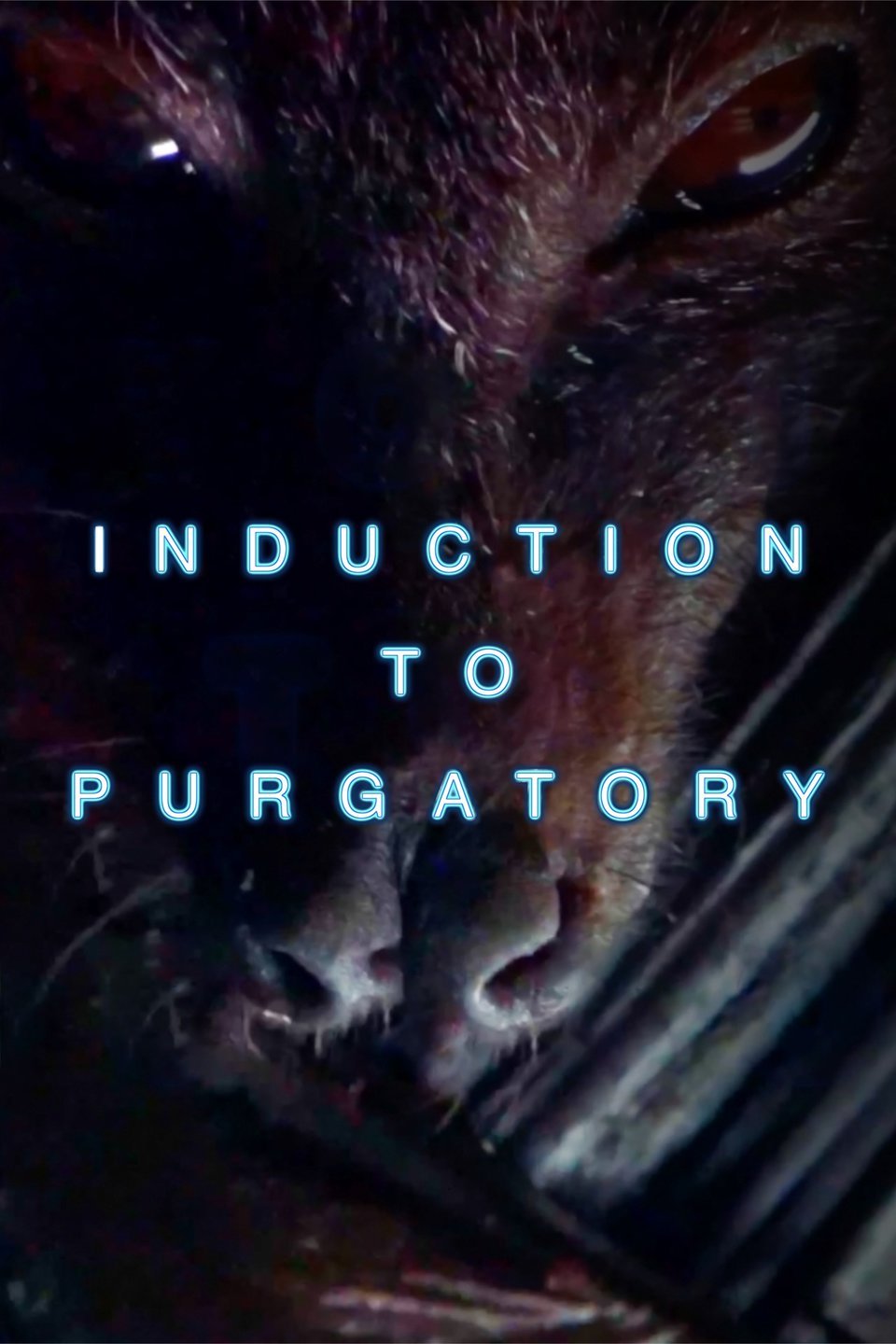 Induction to Purgatory Pictures Rotten Tomatoes
