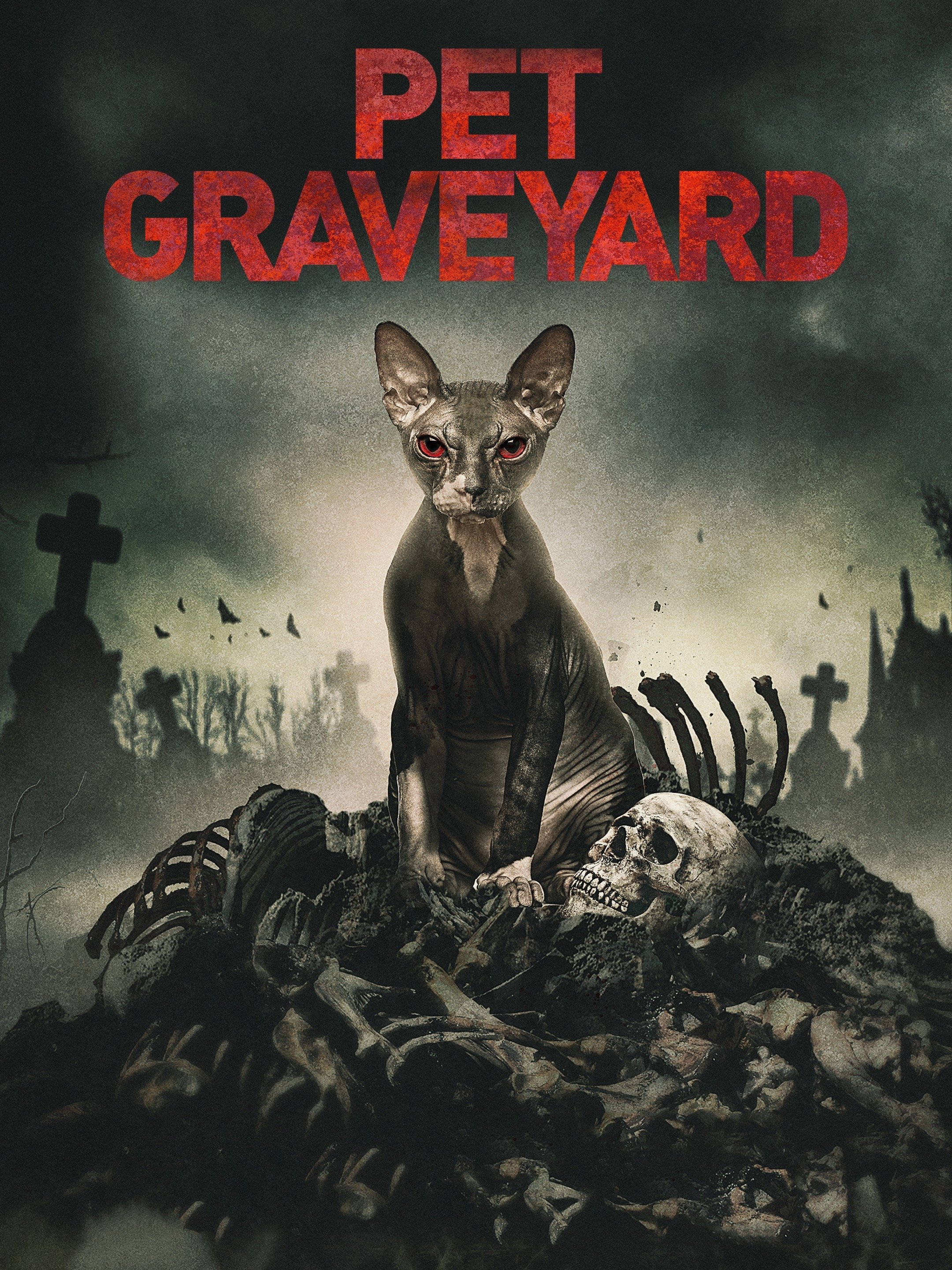 Pet Graveyard (2019) Rotten Tomatoes