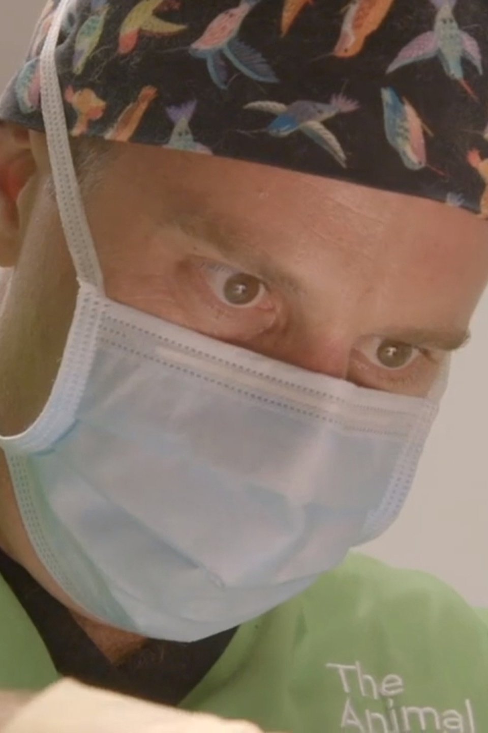 Boo-hoo Roo Pictures - Rotten Tomatoes