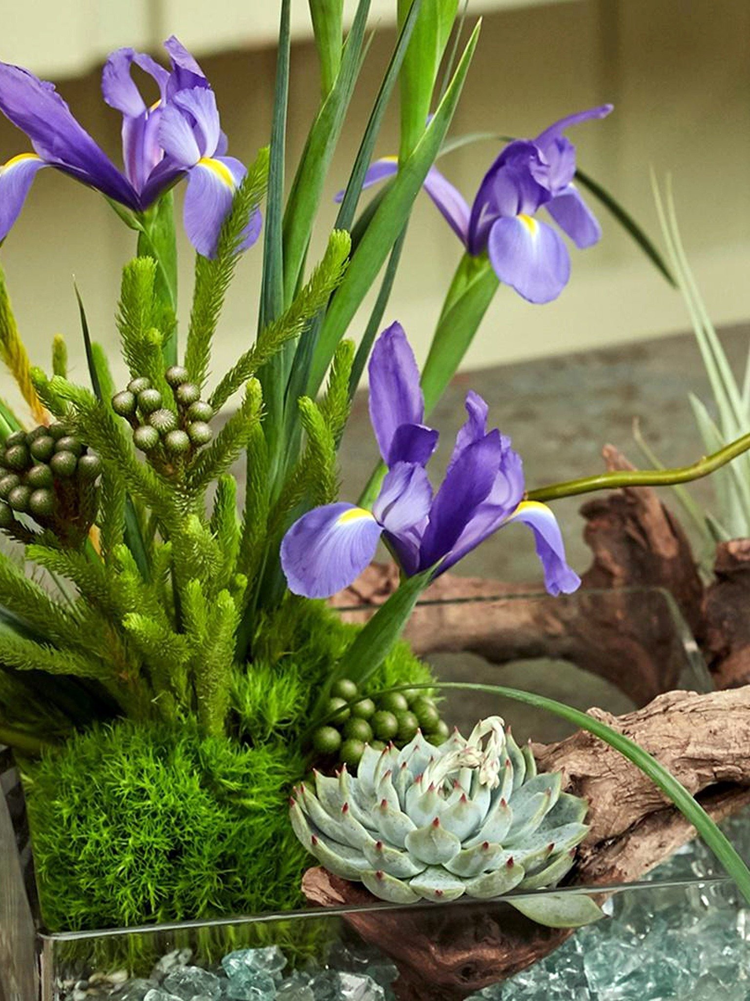 The Art of Flowers Pictures Rotten Tomatoes