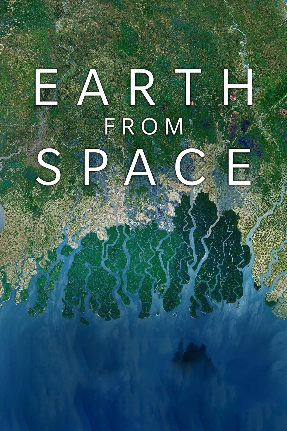 Man Made Pictures Rotten Tomatoes