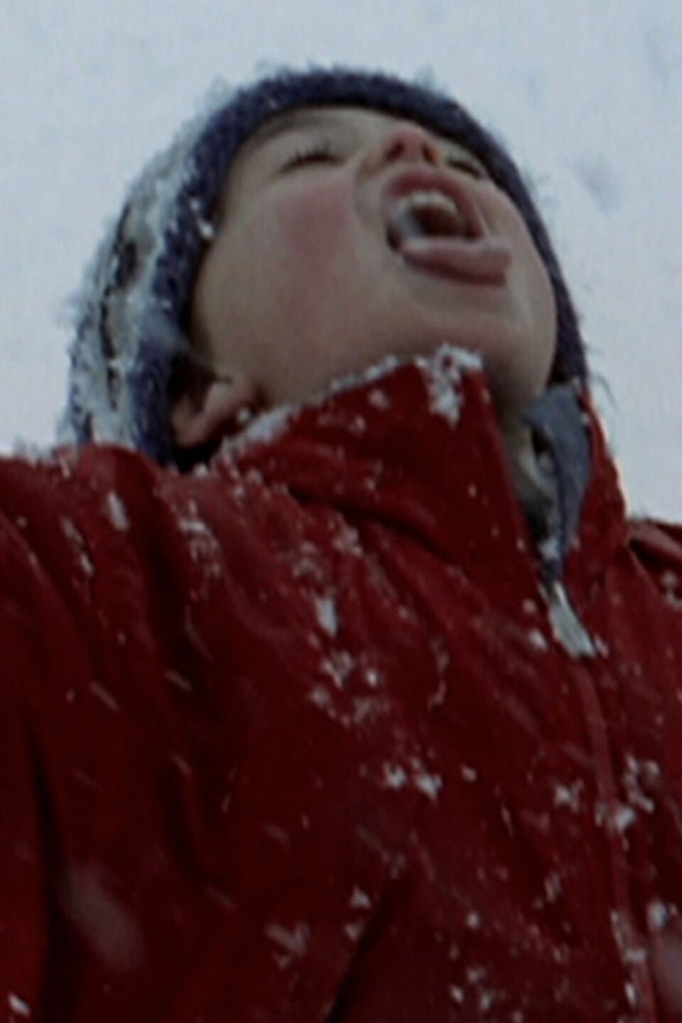 Snow Pictures Rotten Tomatoes