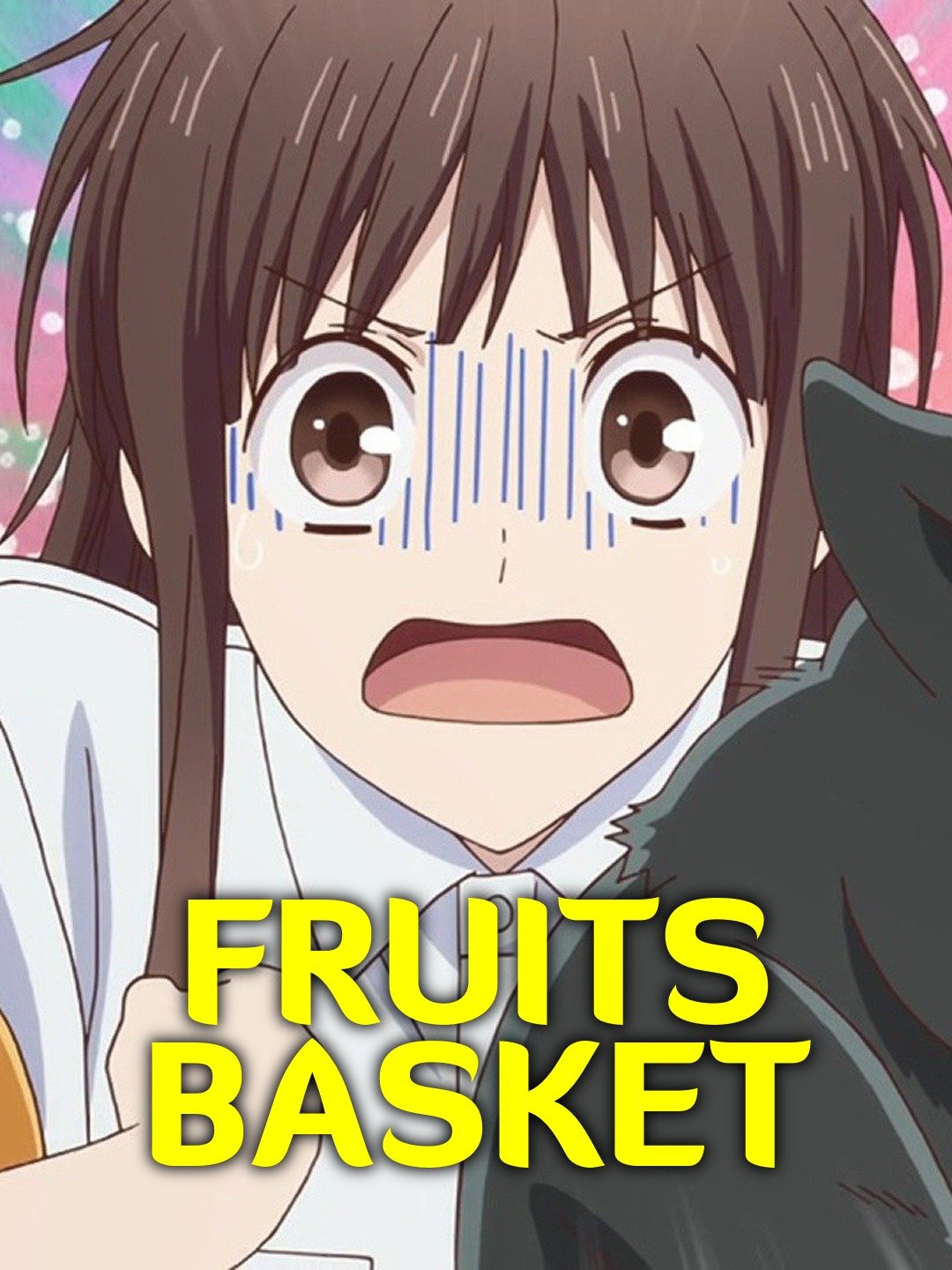 Where Can You Watch Fruit Basket Prelude  Anime Movie Online