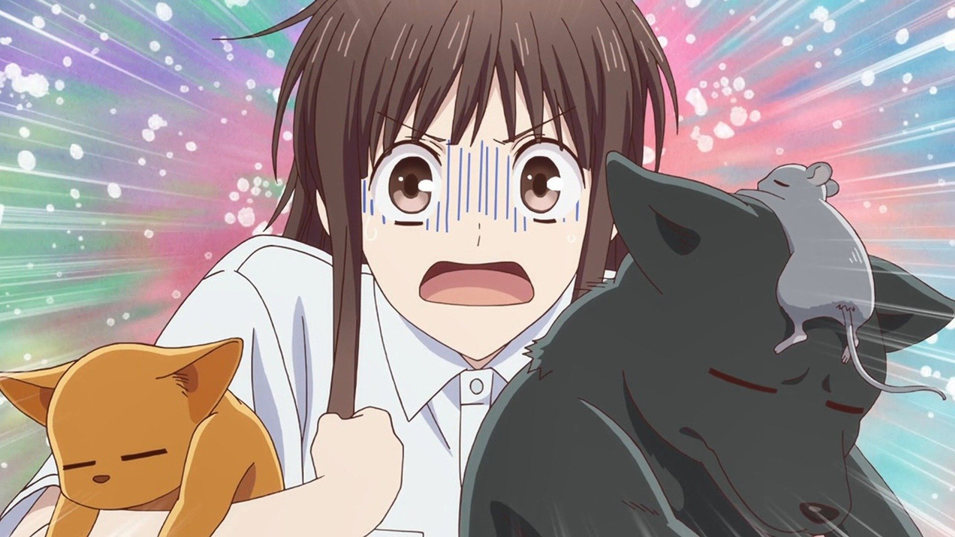 Fruits Basket The slice of life you need  The Daily Star
