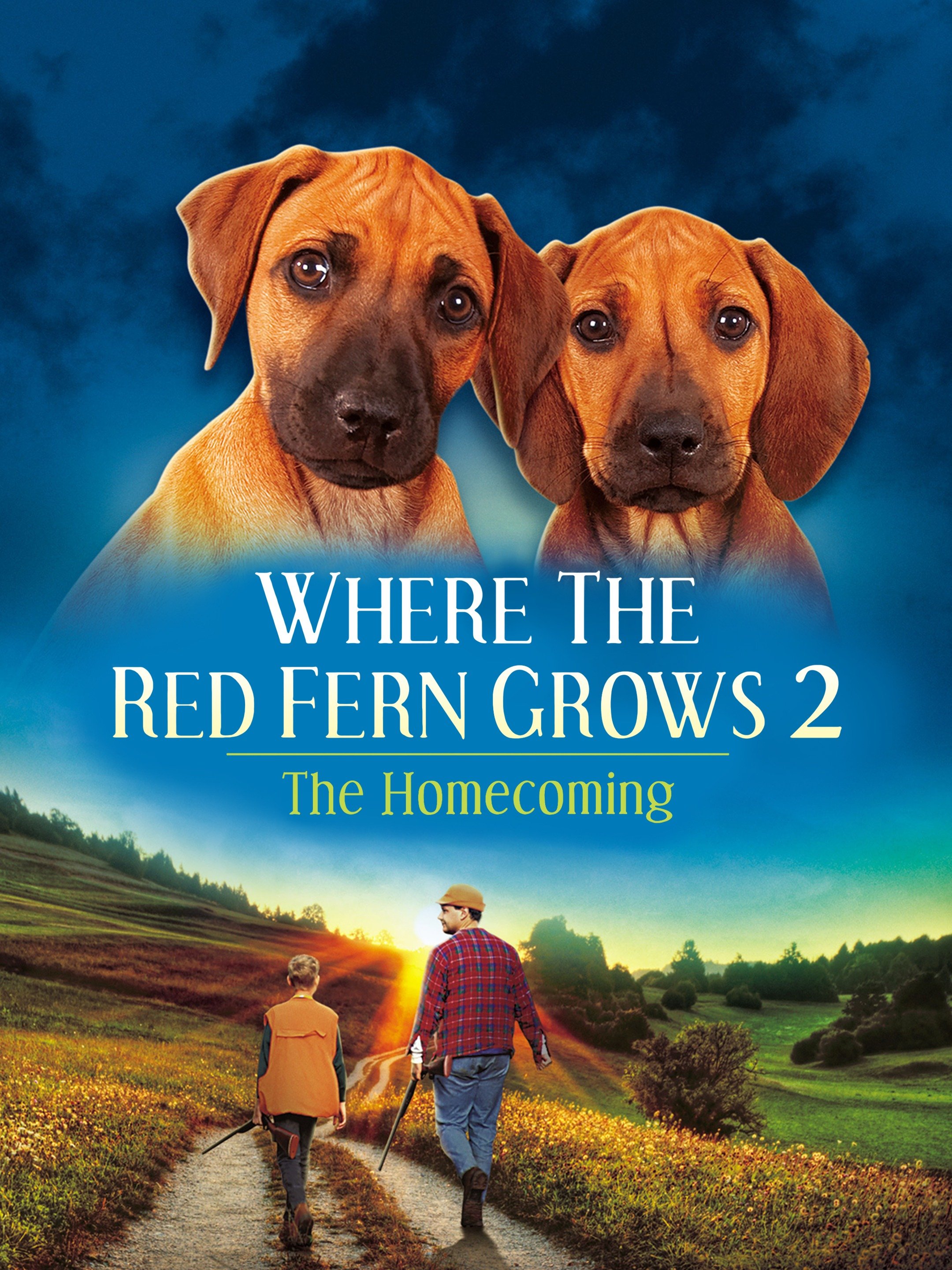 Where the red fern grows grave movie