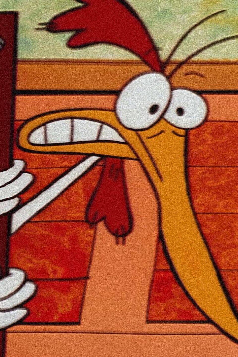 Chachi, the Chewing Gum Seal; Black Sheep of the Family Pictures