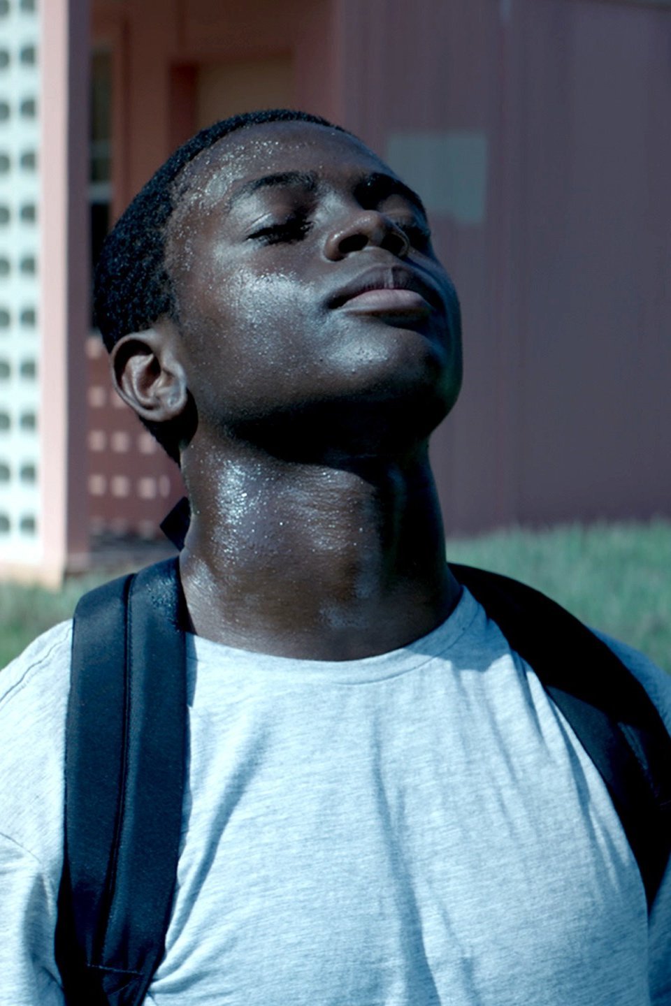 David s sky pictures rotten tomatoes