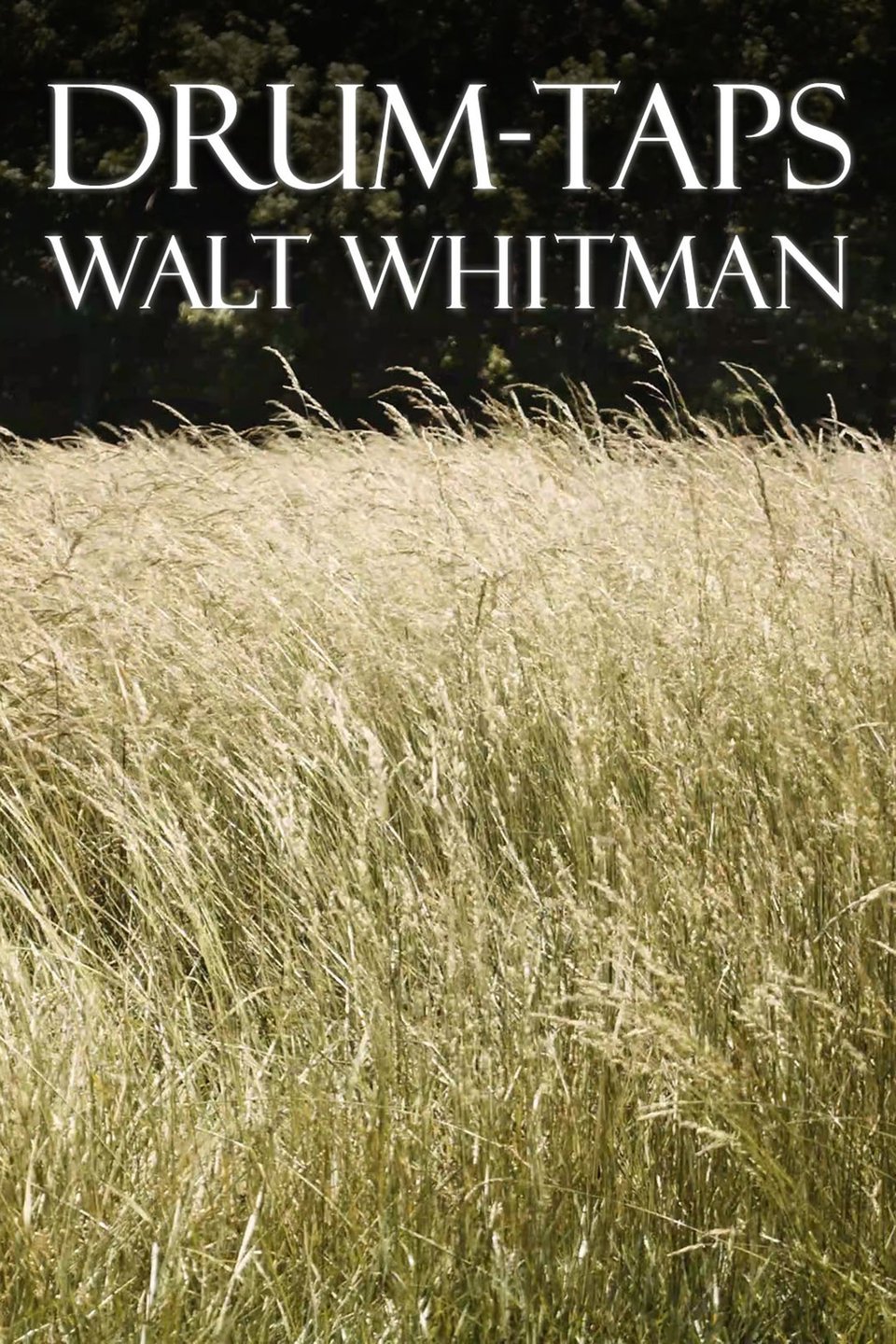 Walt Whitman DrumTaps Pictures Rotten Tomatoes
