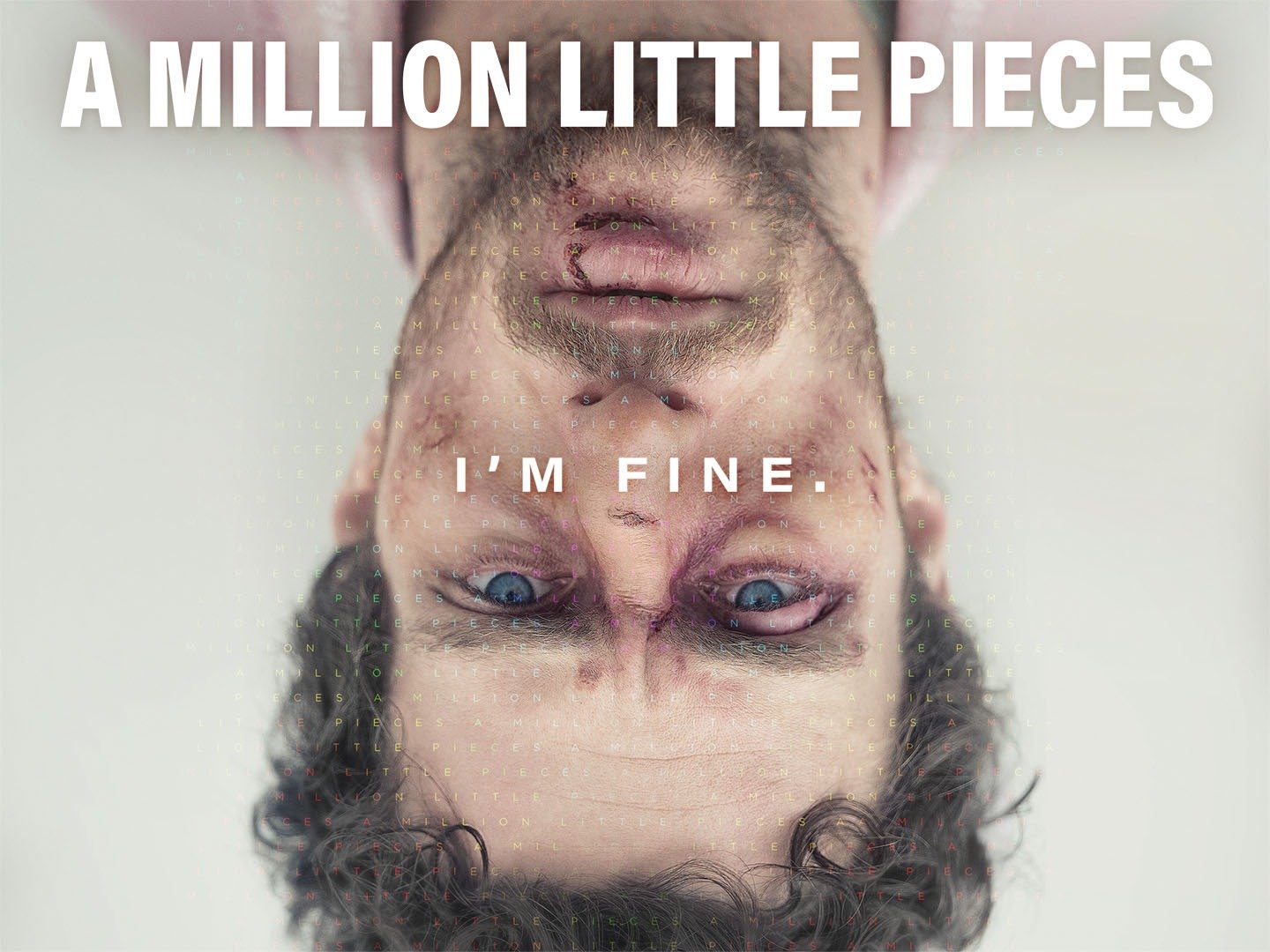 A Million Little Pieces: Trailer 1 - Trailers & Videos - Rotten Tomatoes