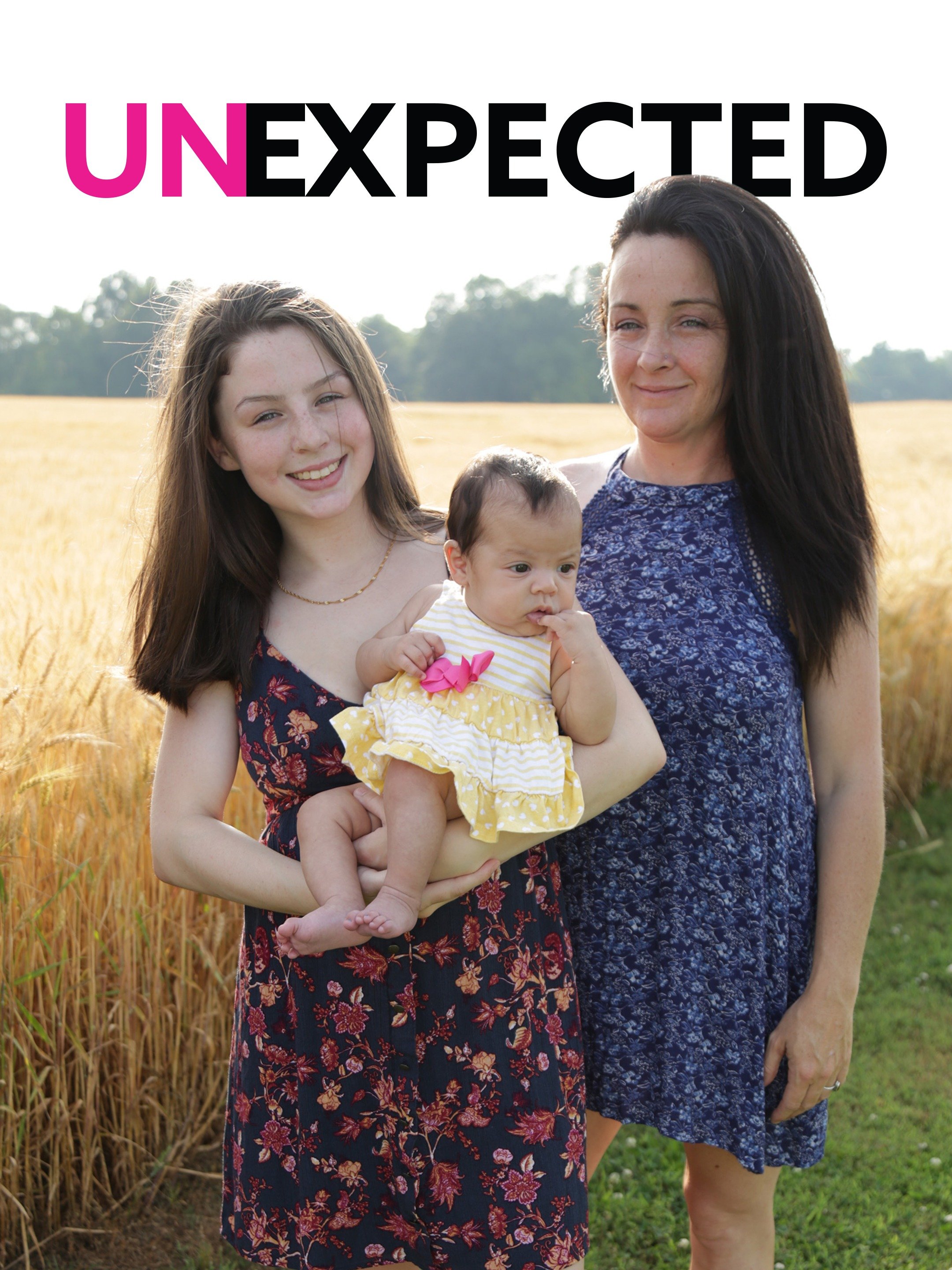 Is El Dragón Season 3 Cancelled? The Unexpected Twist - 3ujjlqc