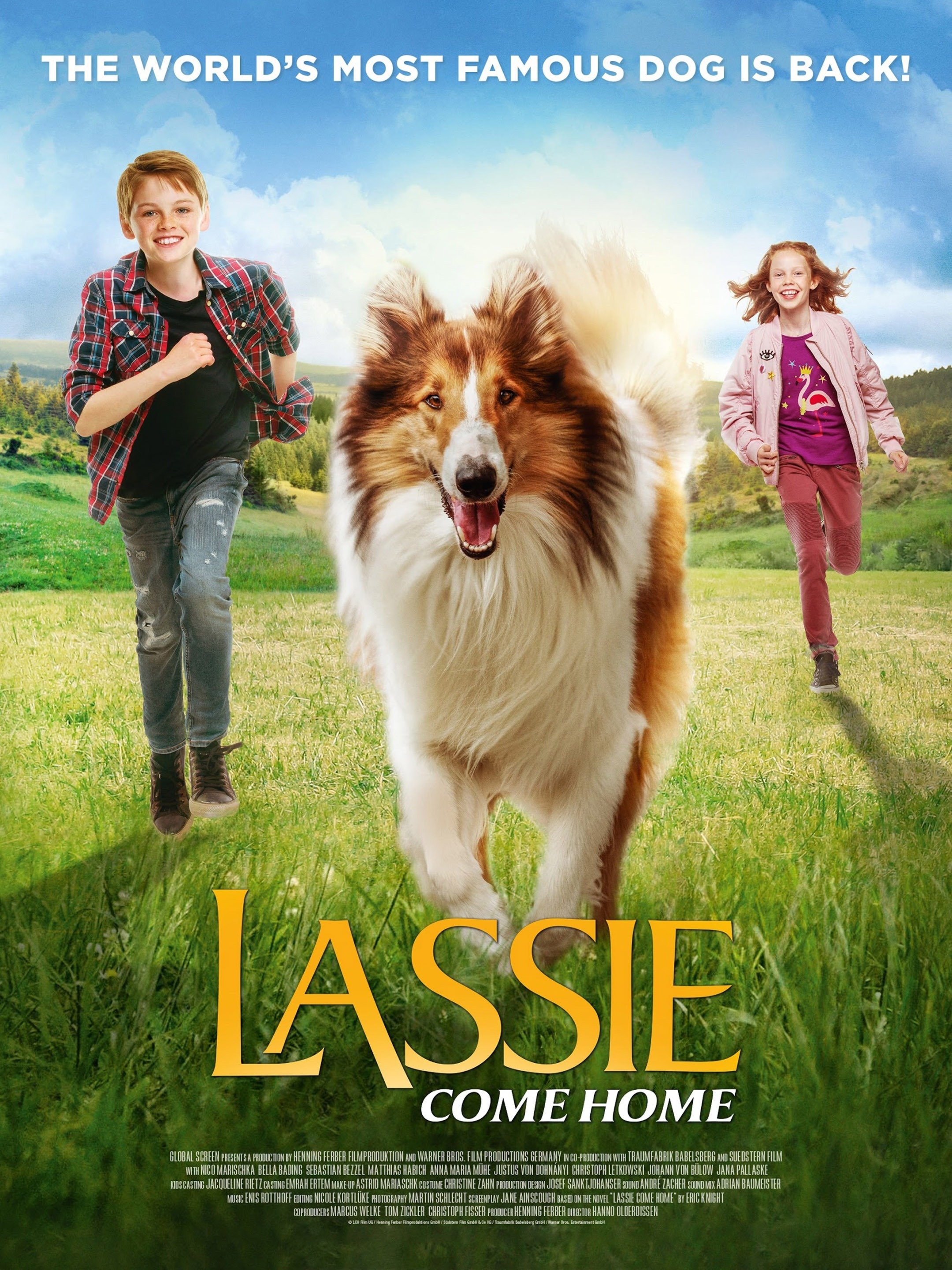 how many dogs did they use in lassie