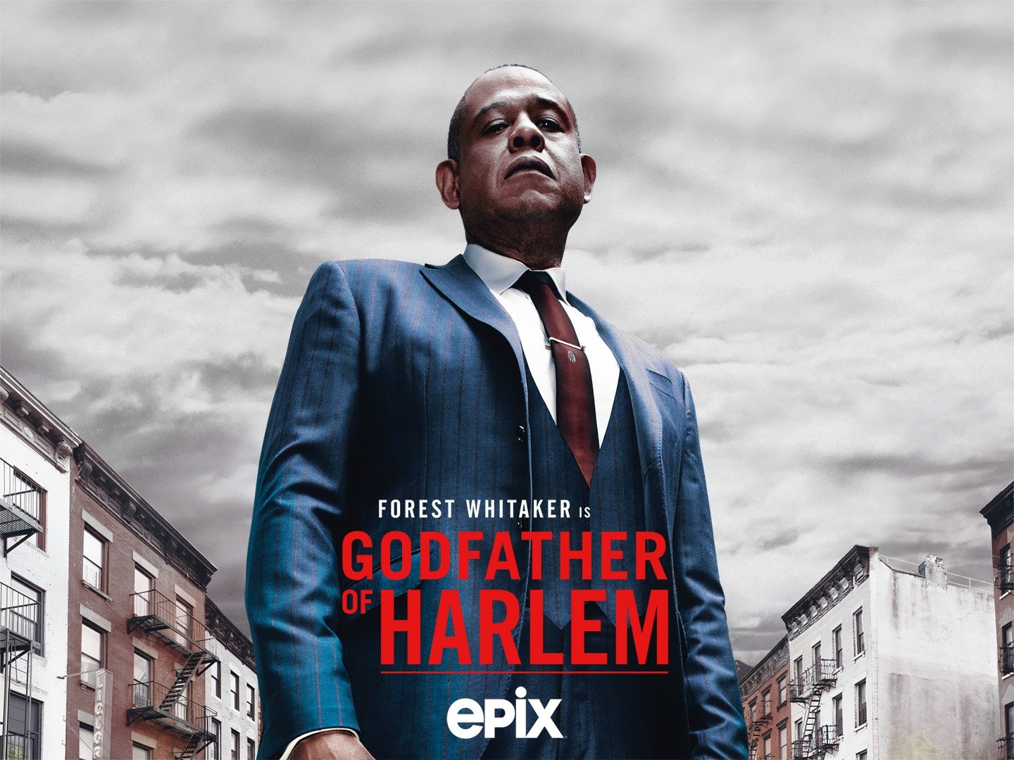 Godfather Of Harlem Rotten Tomatoes