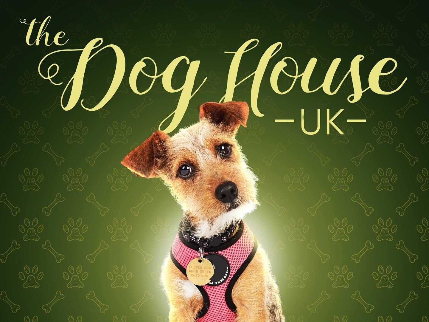 The Dog House UK Trailers & Videos Rotten Tomatoes