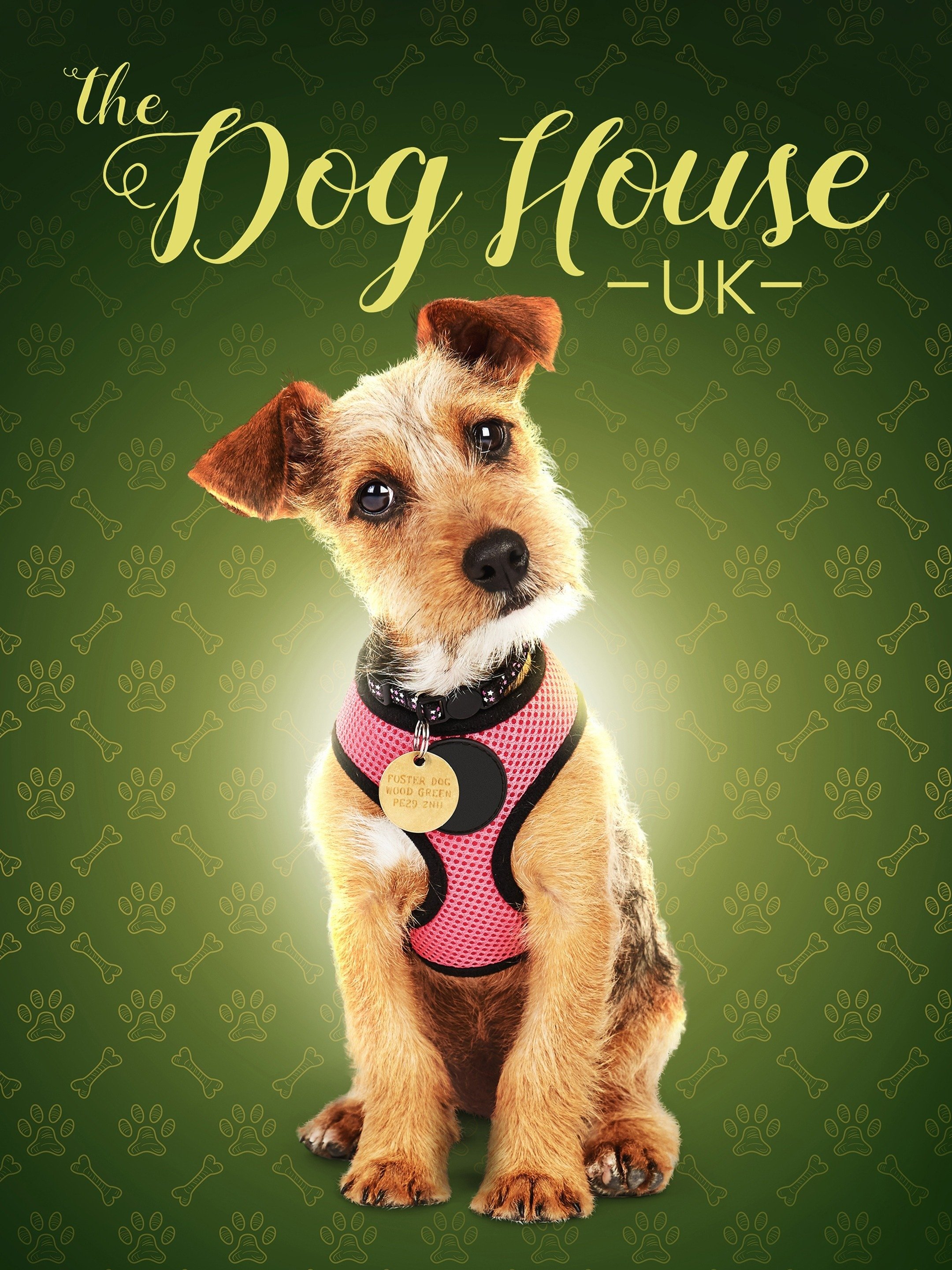 The Dog House: UK - Rotten Tomatoes