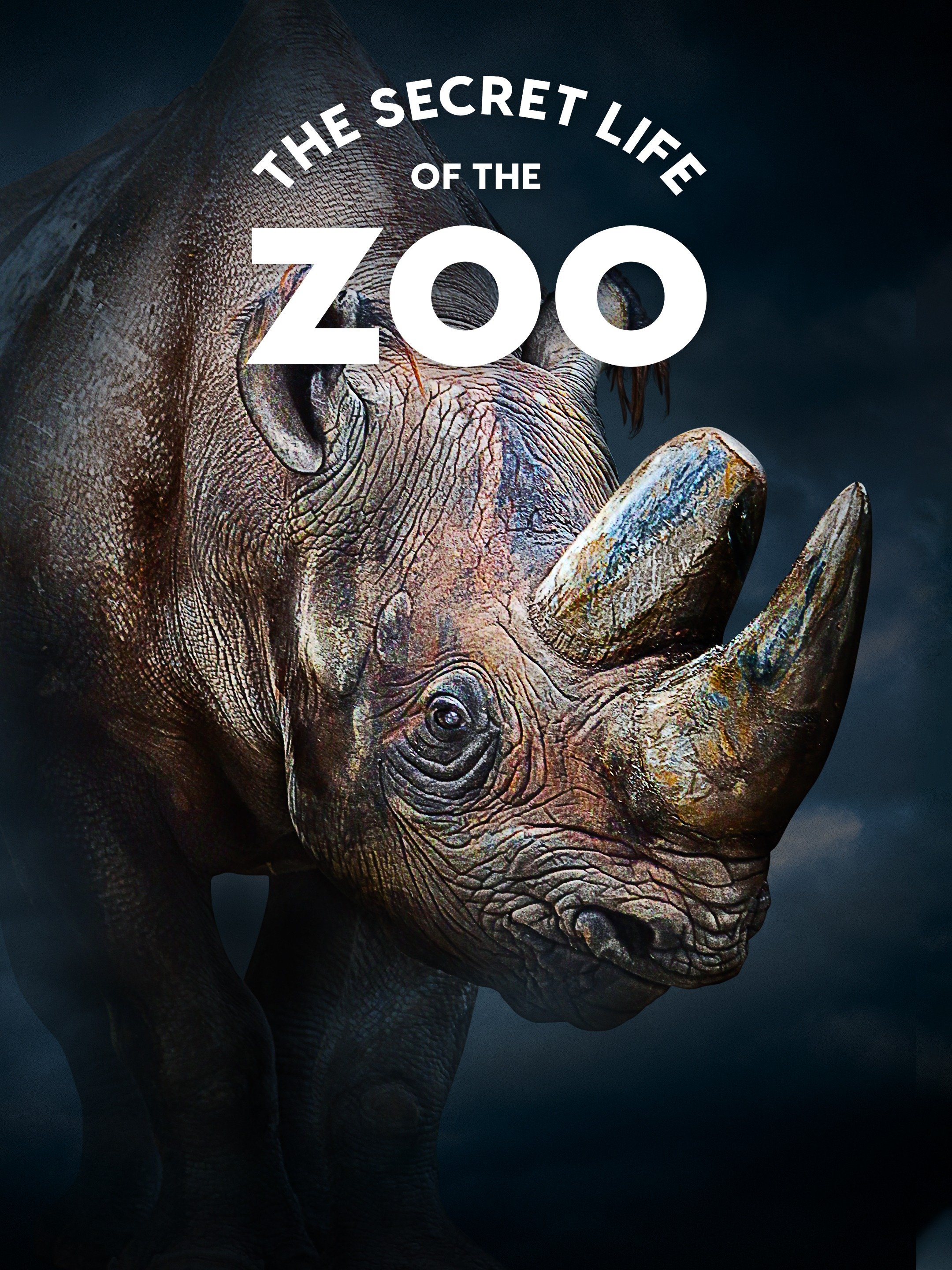 The Secret Life of the Zoo Rotten Tomatoes