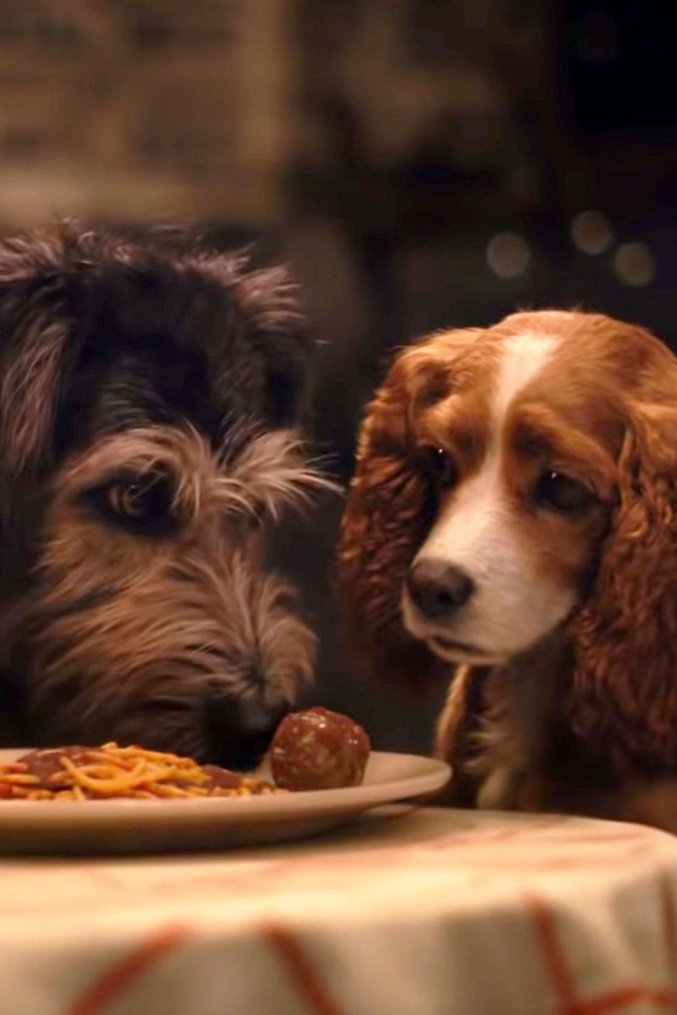 Lady And The Tramp Exclusive Interview Trailers And Videos Rotten Tomatoes