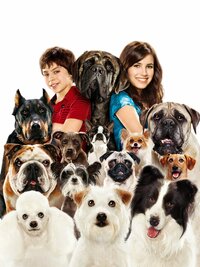 Hotel para perros