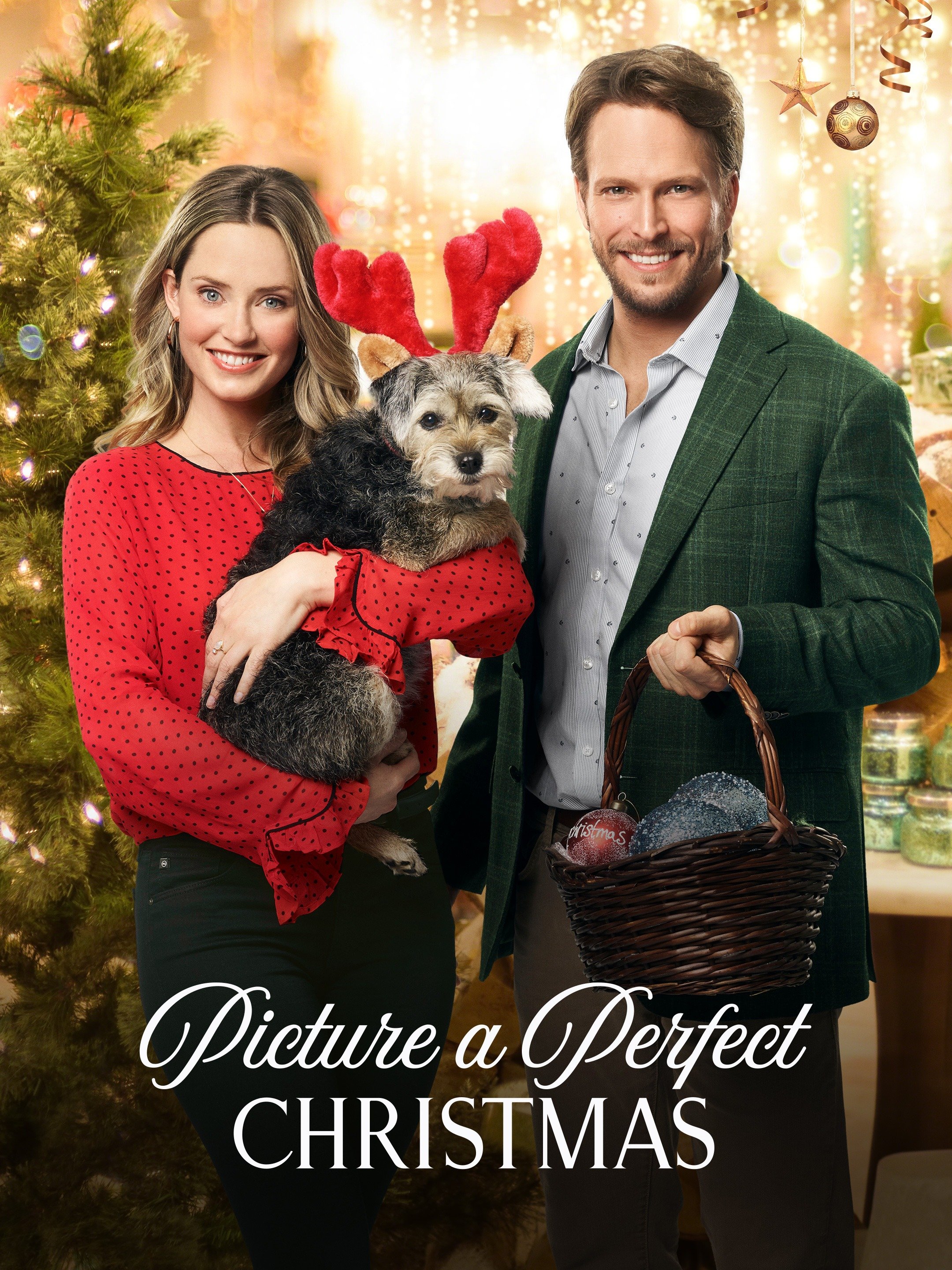 Picture a Perfect Christmas (2019) Rotten Tomatoes