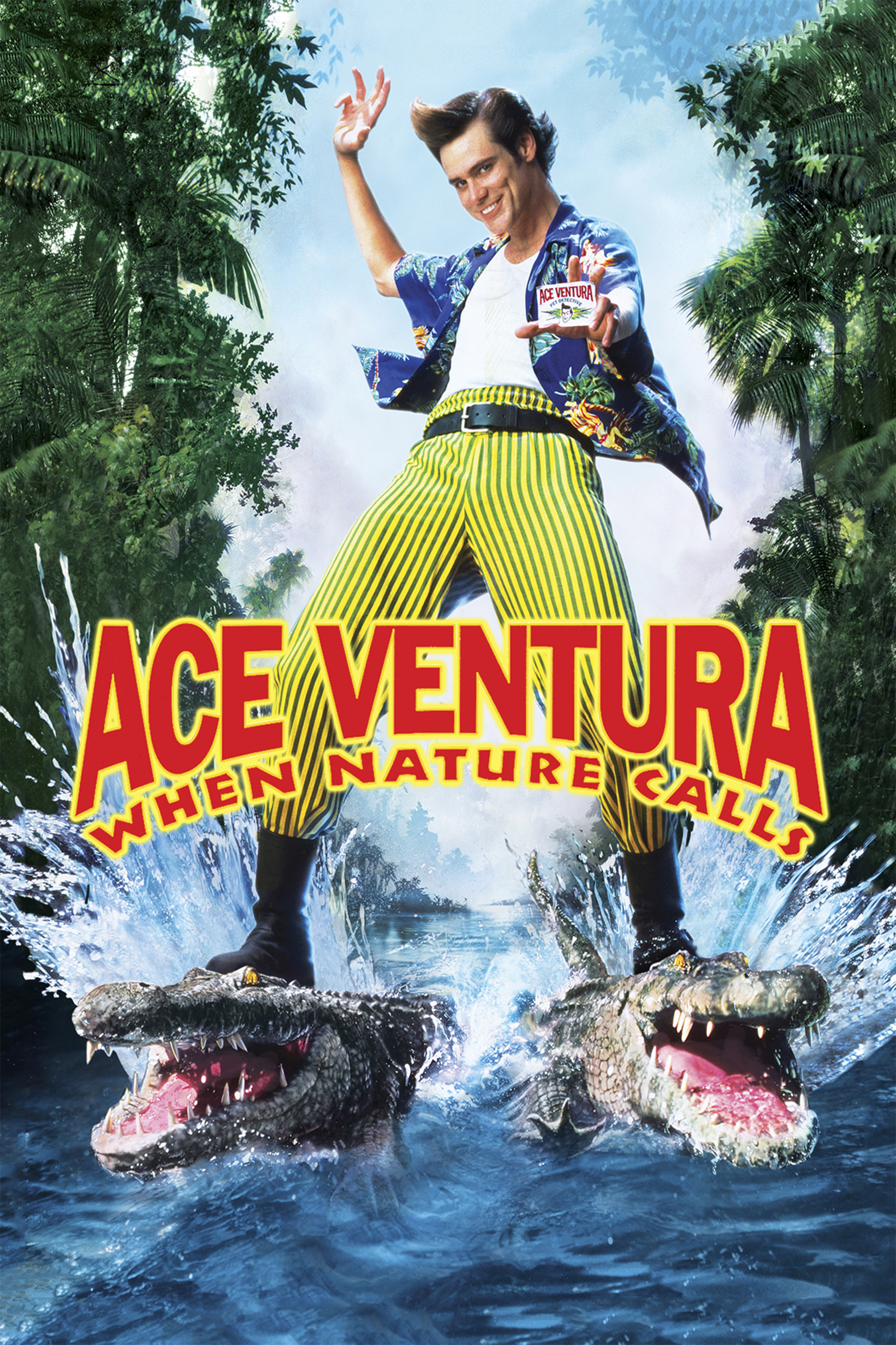 Ace Ventura: Pet Detective (1994) - Plot - IMDb