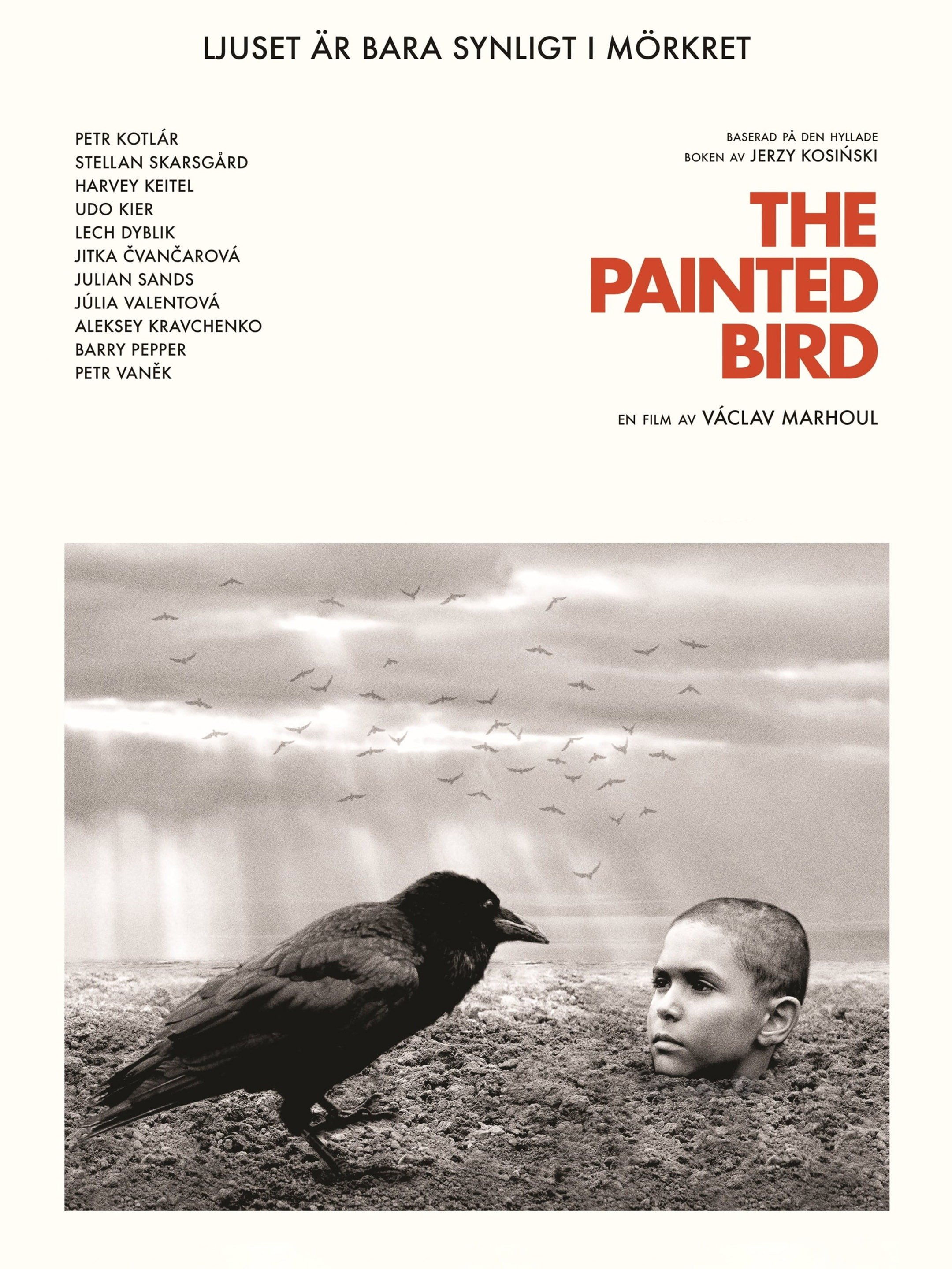 The Painted Bird Trailer 1 Trailers & Videos Rotten Tomatoes
