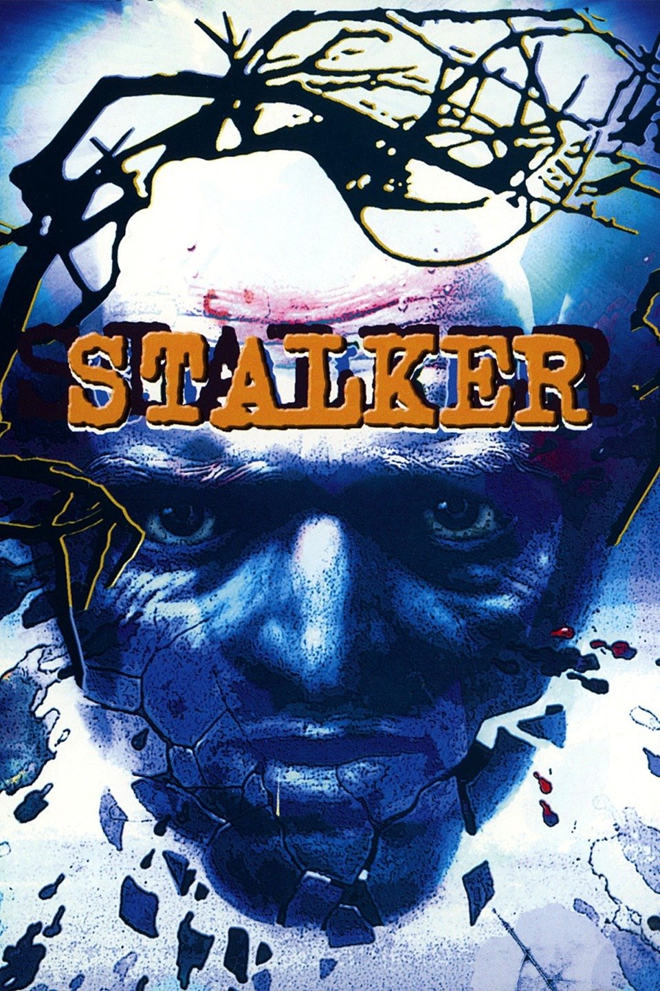 Stalker Meaning In Russian Stalker Person