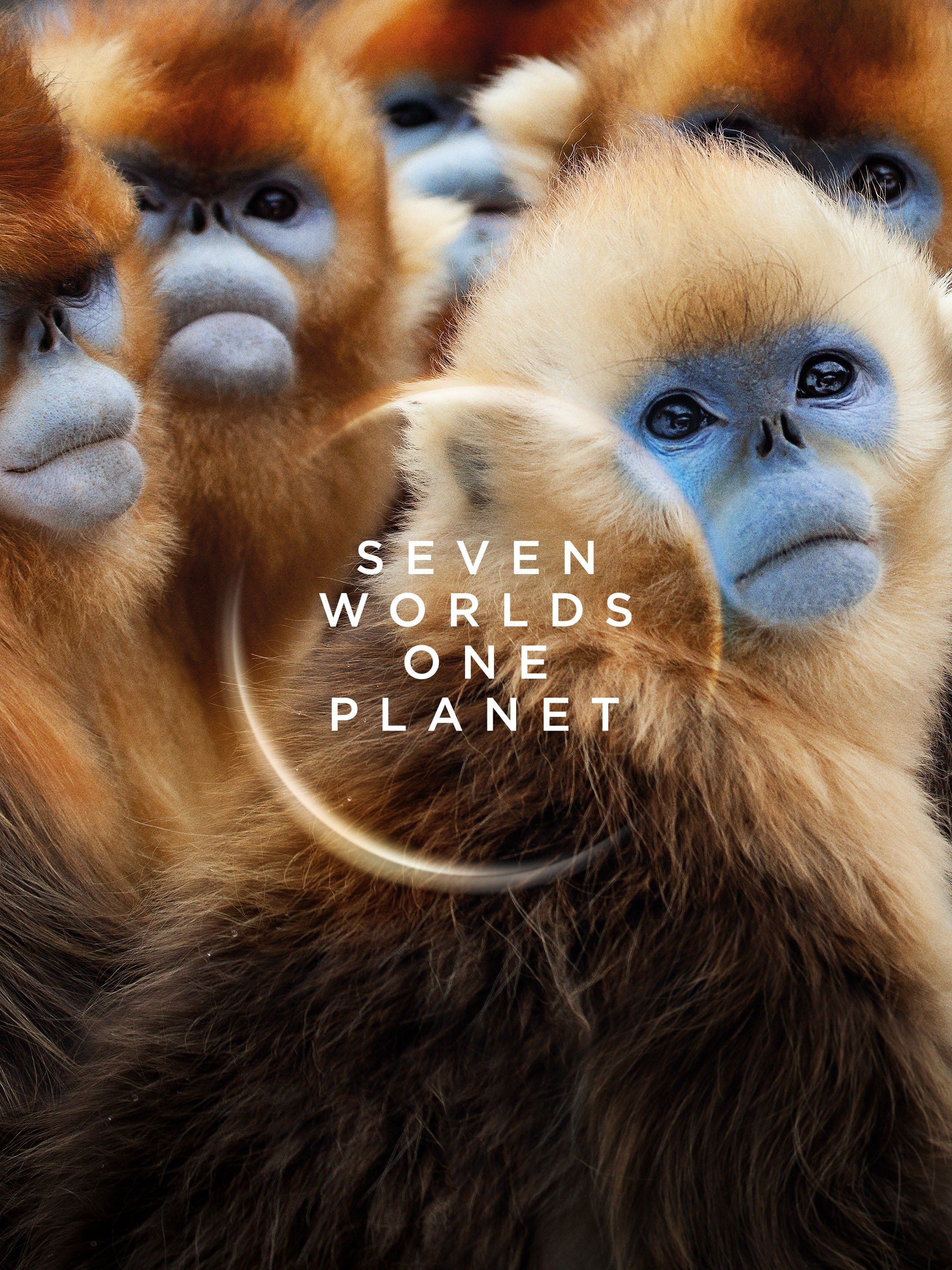 Seven Worlds, One Planet Rotten Tomatoes