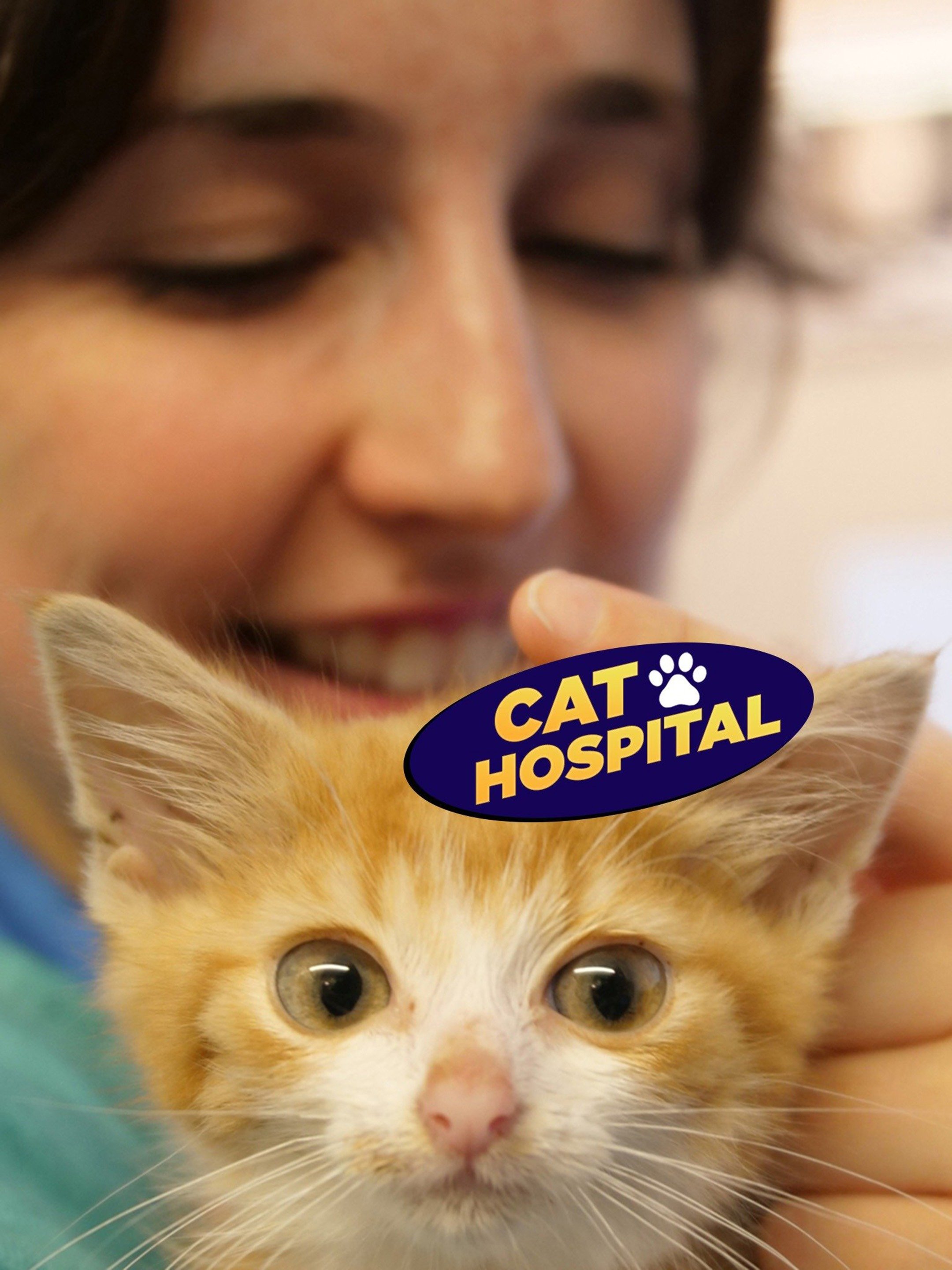 Cat Hospital Rotten Tomatoes