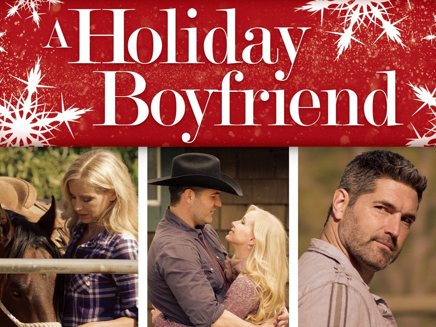 A Holiday Boyfriend (2019) Rotten Tomatoes