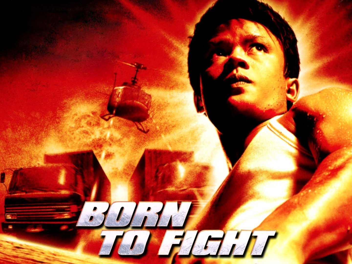 Born to Fight Pictures - Rotten Tomatoes