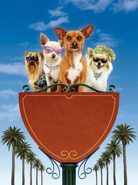Un chihuahua en Beverly Hills