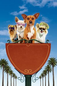 Un chihuahua en Beverly Hills