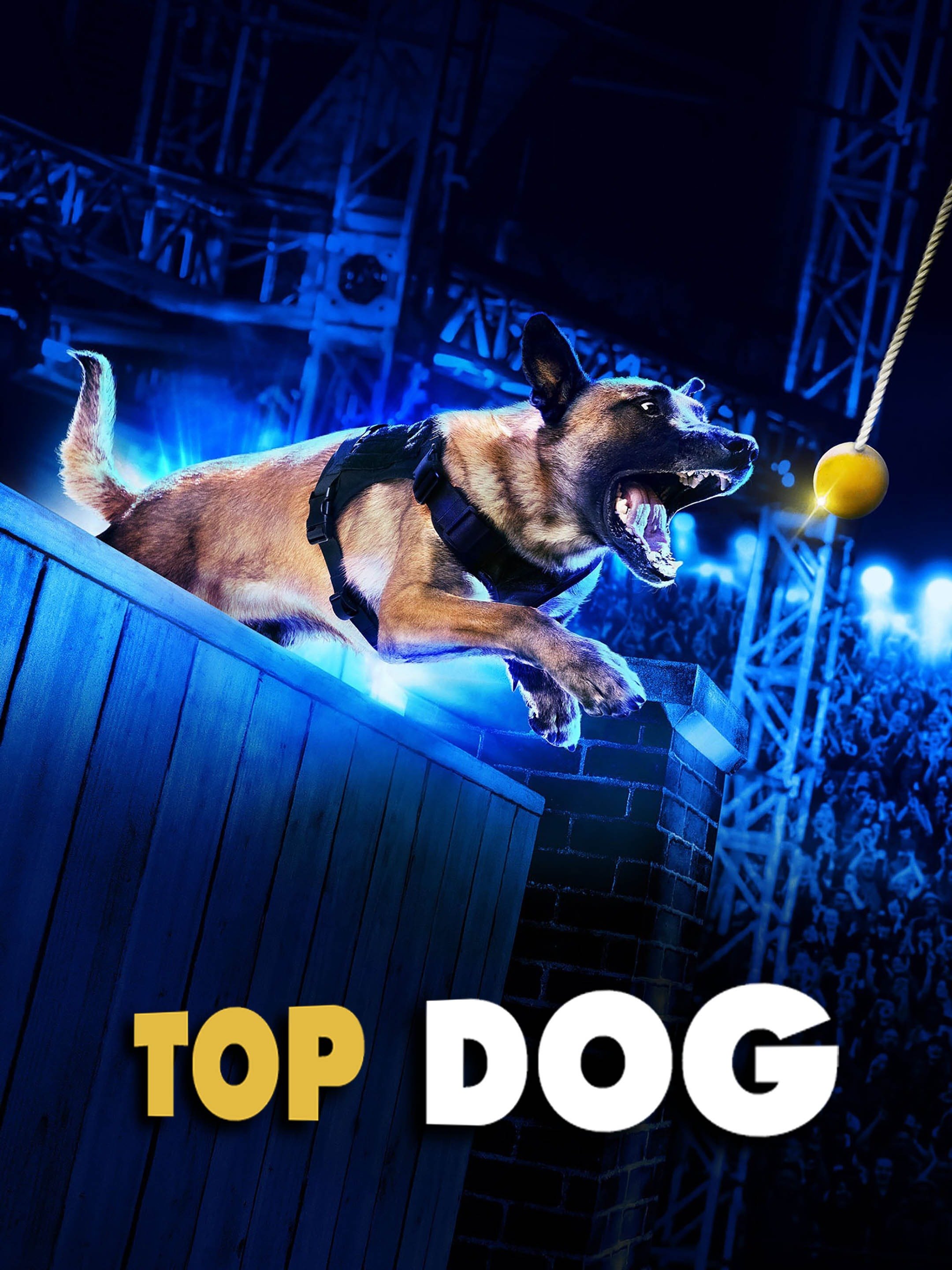Top dog - Rotten