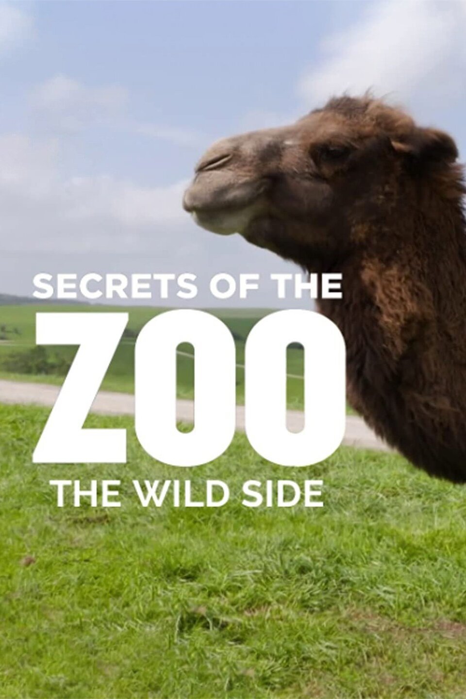 secrets of the zoo the wild side episodes