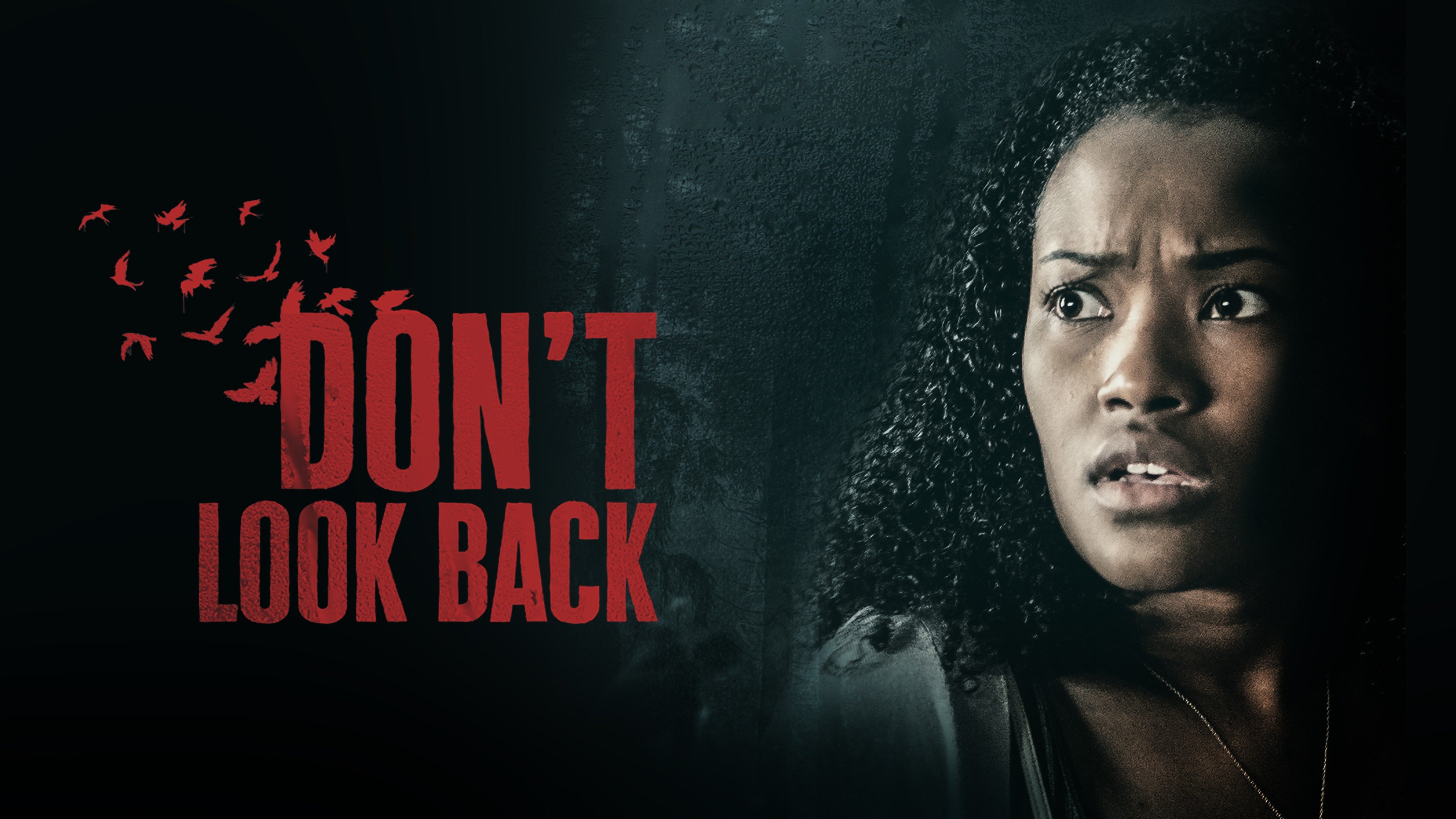 Don't Look Back Trailer 1 Trailers & Videos Rotten Tomatoes