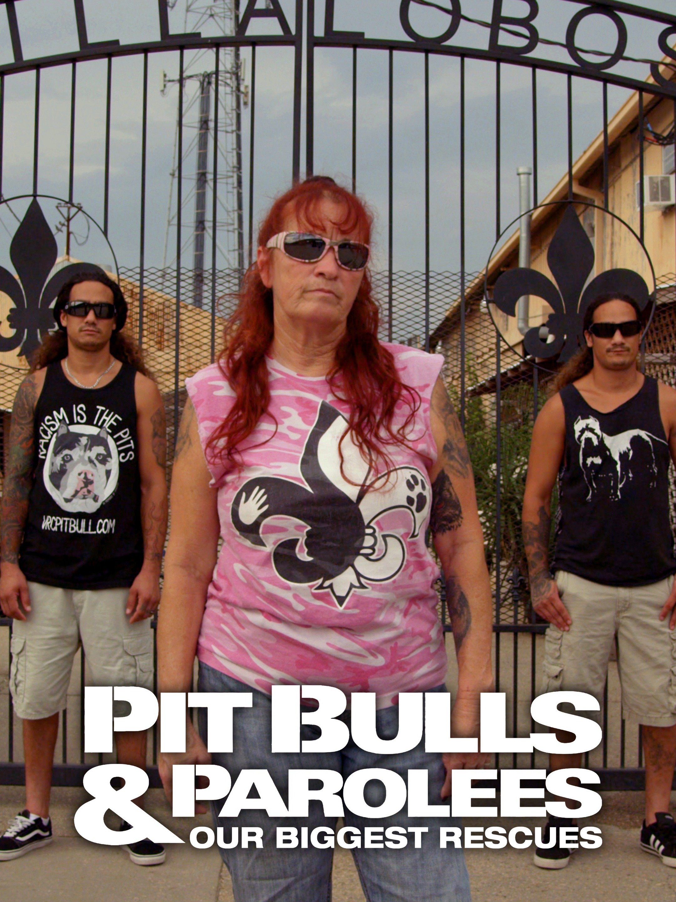pitbulls and parolees t shirts