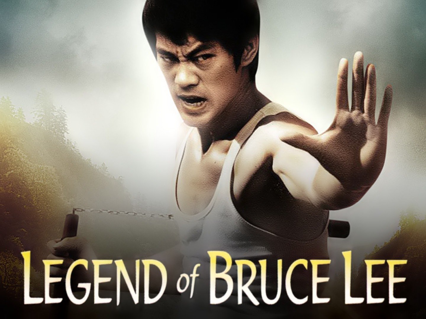 The Legend of Bruce Lee - Movie Reviews