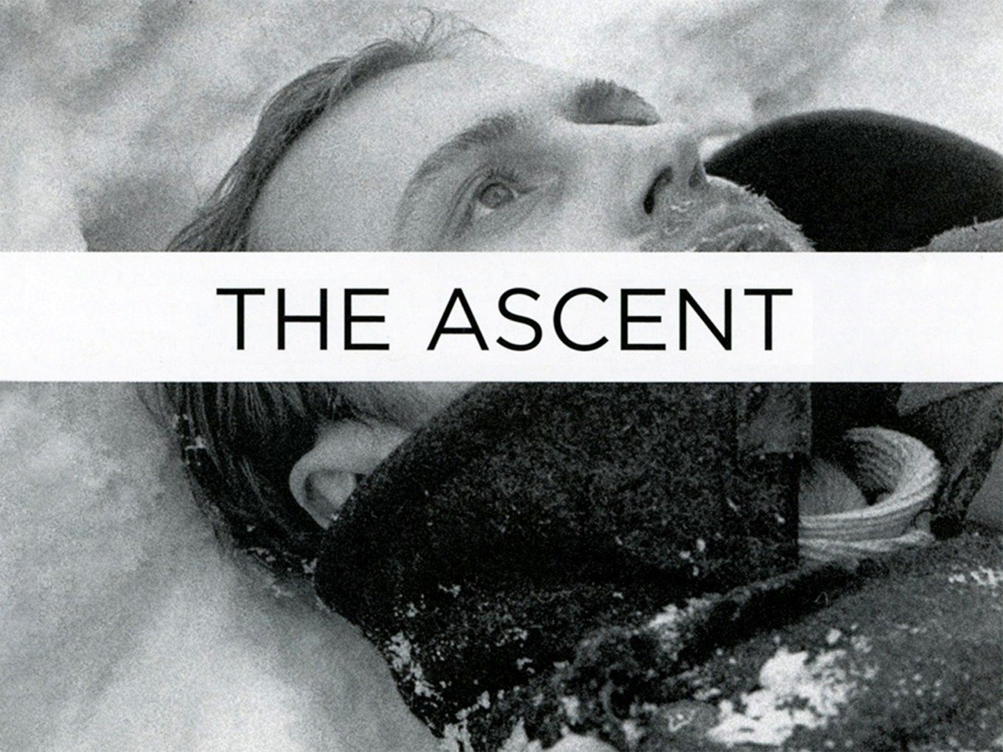 the ascent 1977