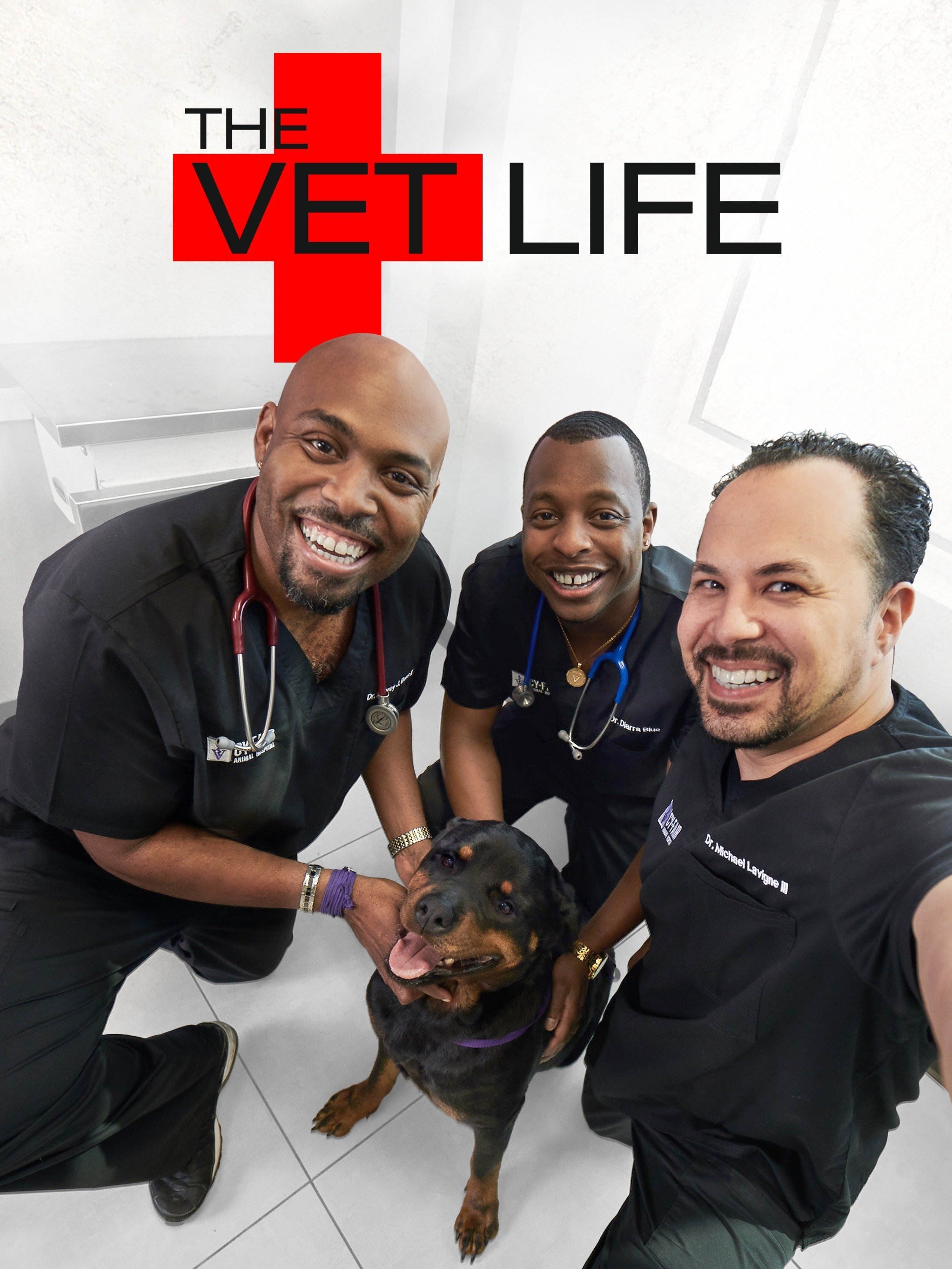 The Vet Life Rotten Tomatoes