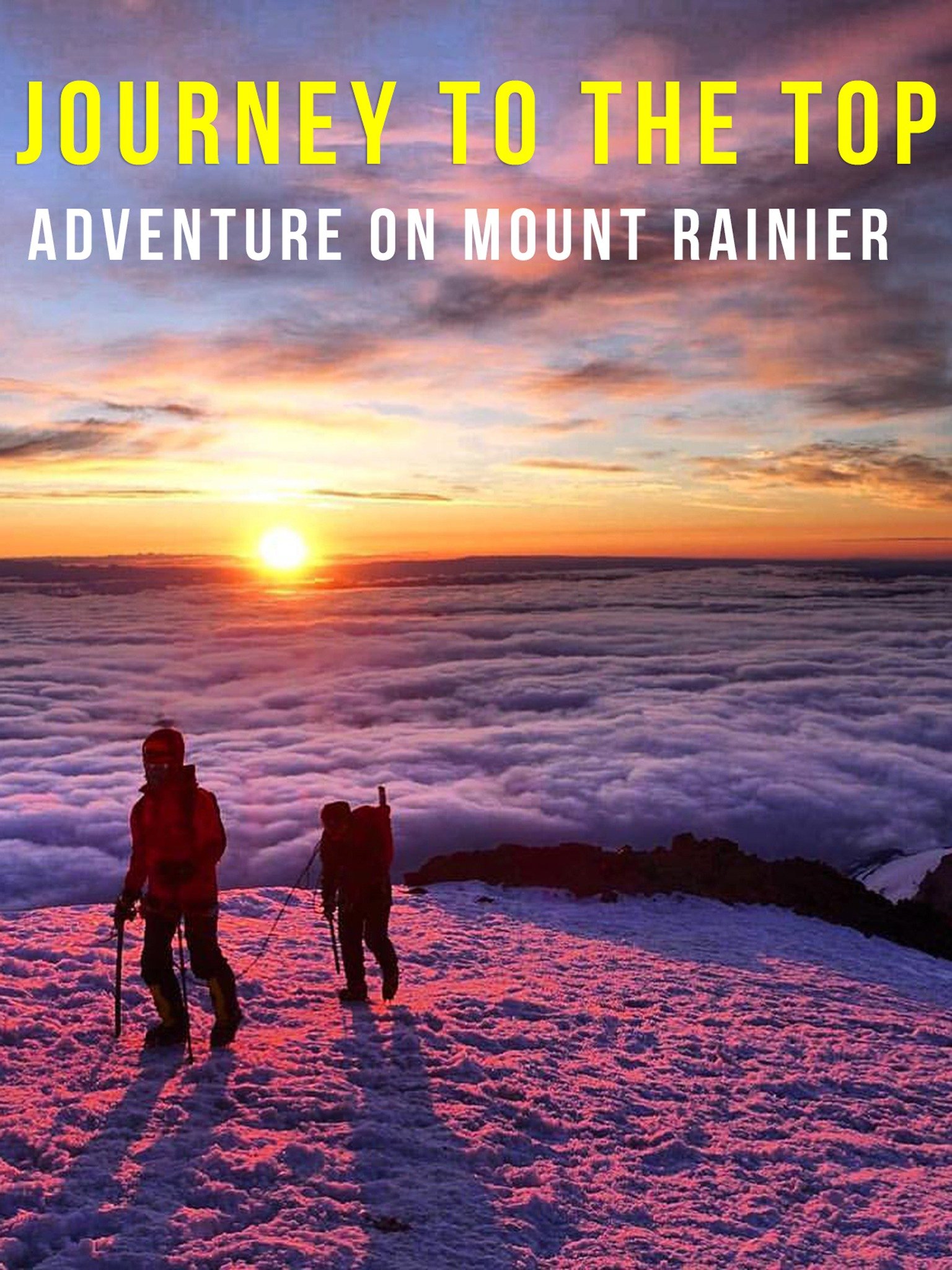 Jessyyrenn's Unexpected Journey To The Top