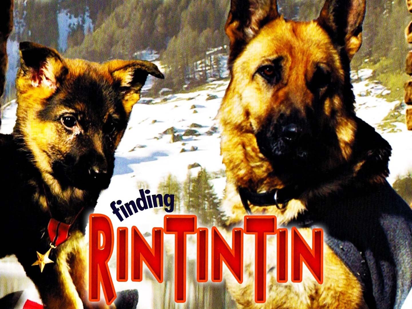 Finding Rin Tin Tin (2007) - Rotten Tomatoes
